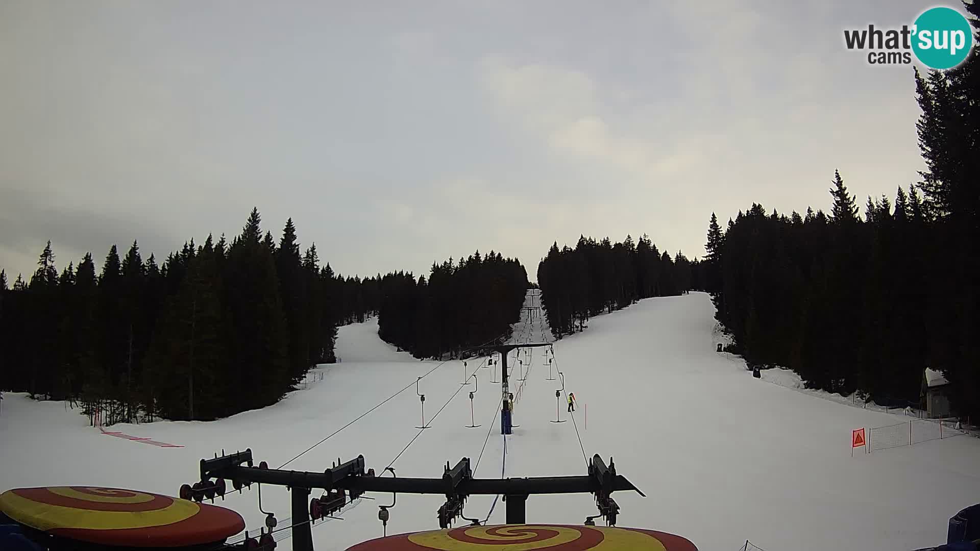 Station de ski Rogla Webcam Ostruščica pistes 1 et 2