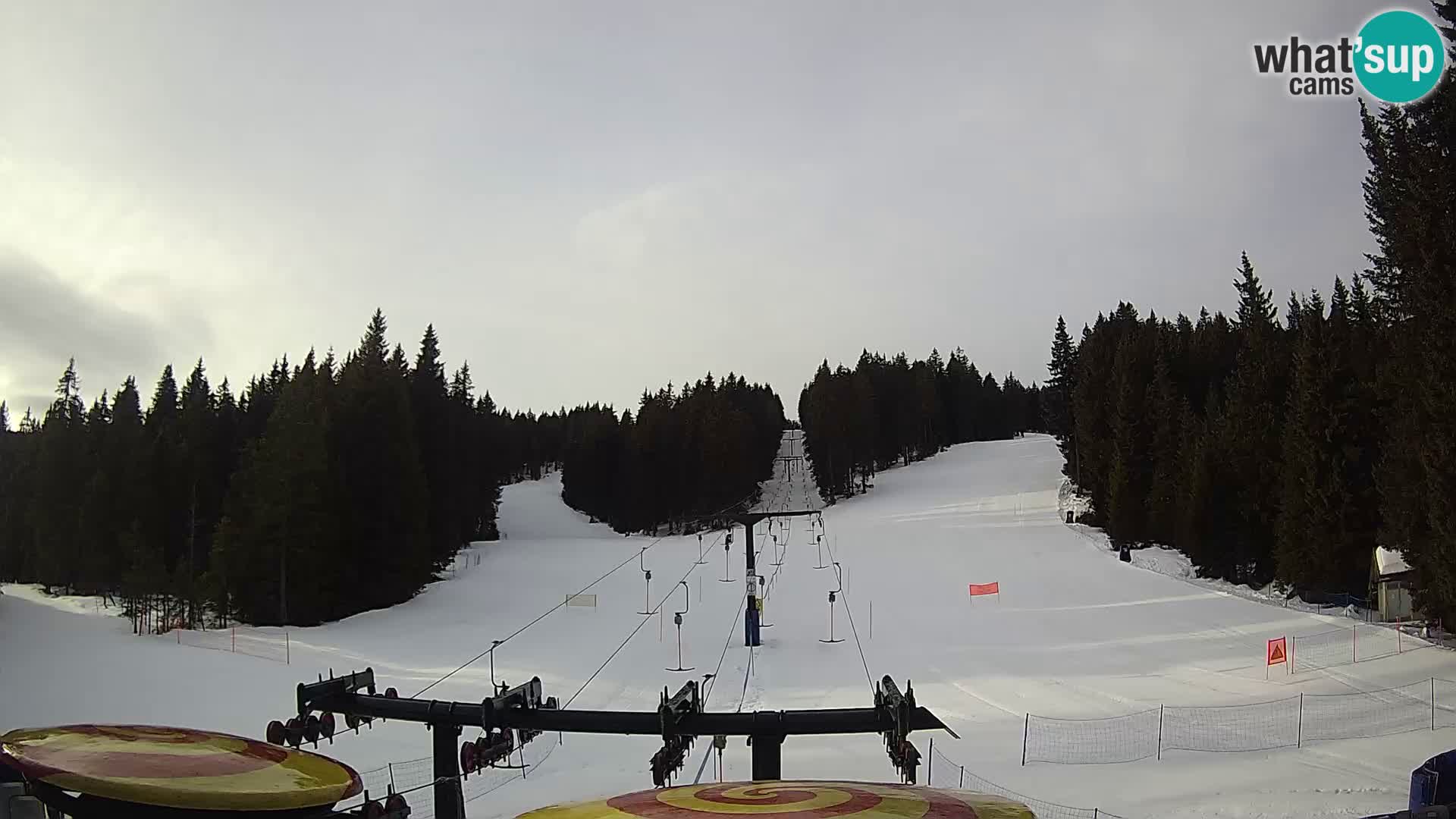Webcam Live Rogla ski resort – Ostruščica
