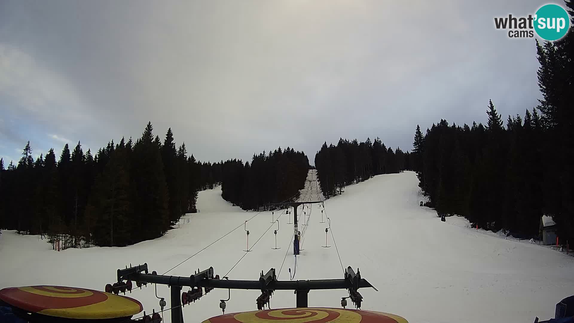 Estación de esquí Rogla Webcam Ostruščica pistas 1 y 2