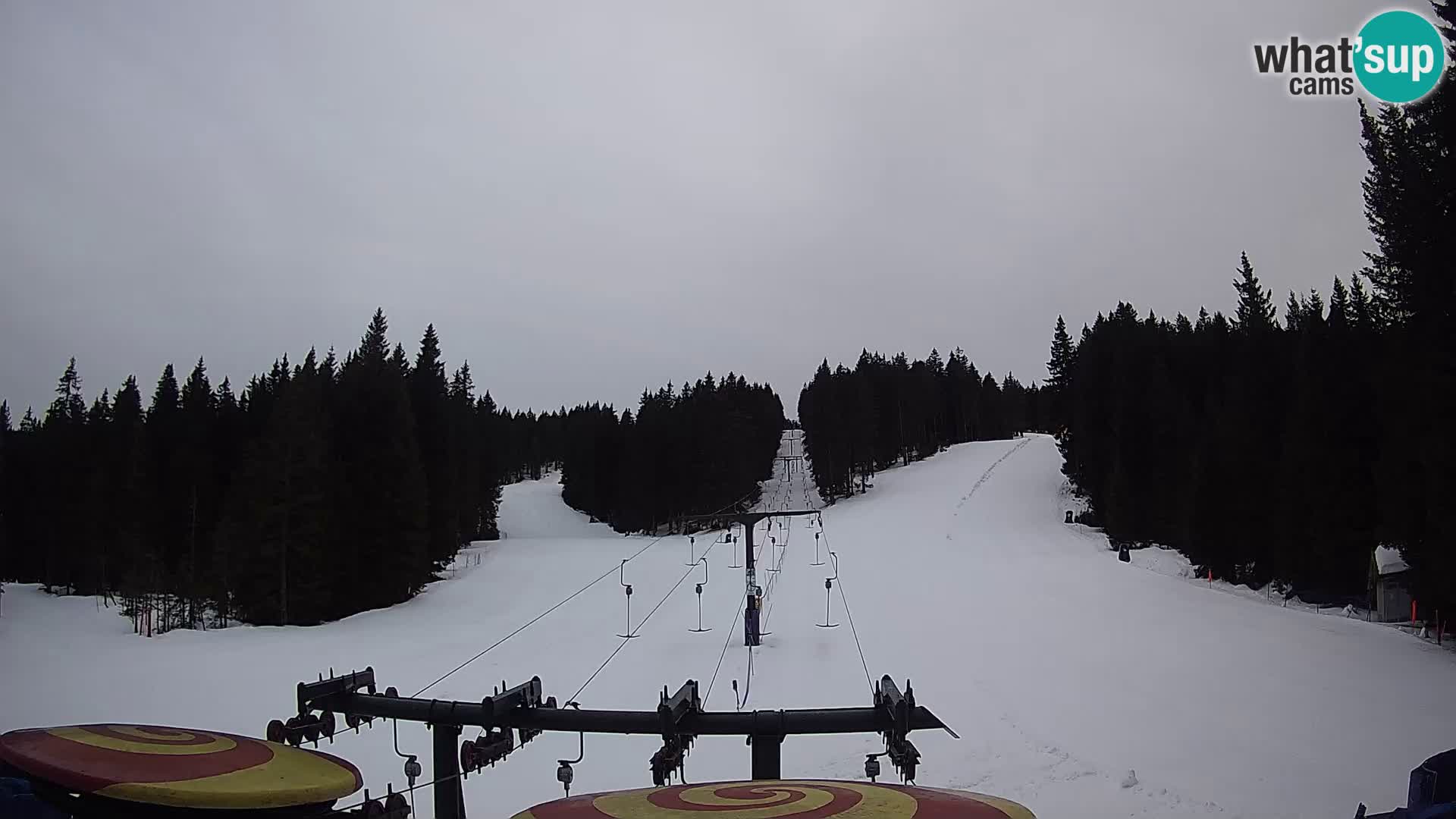 Webcam Live Rogla ski resort – Ostruščica