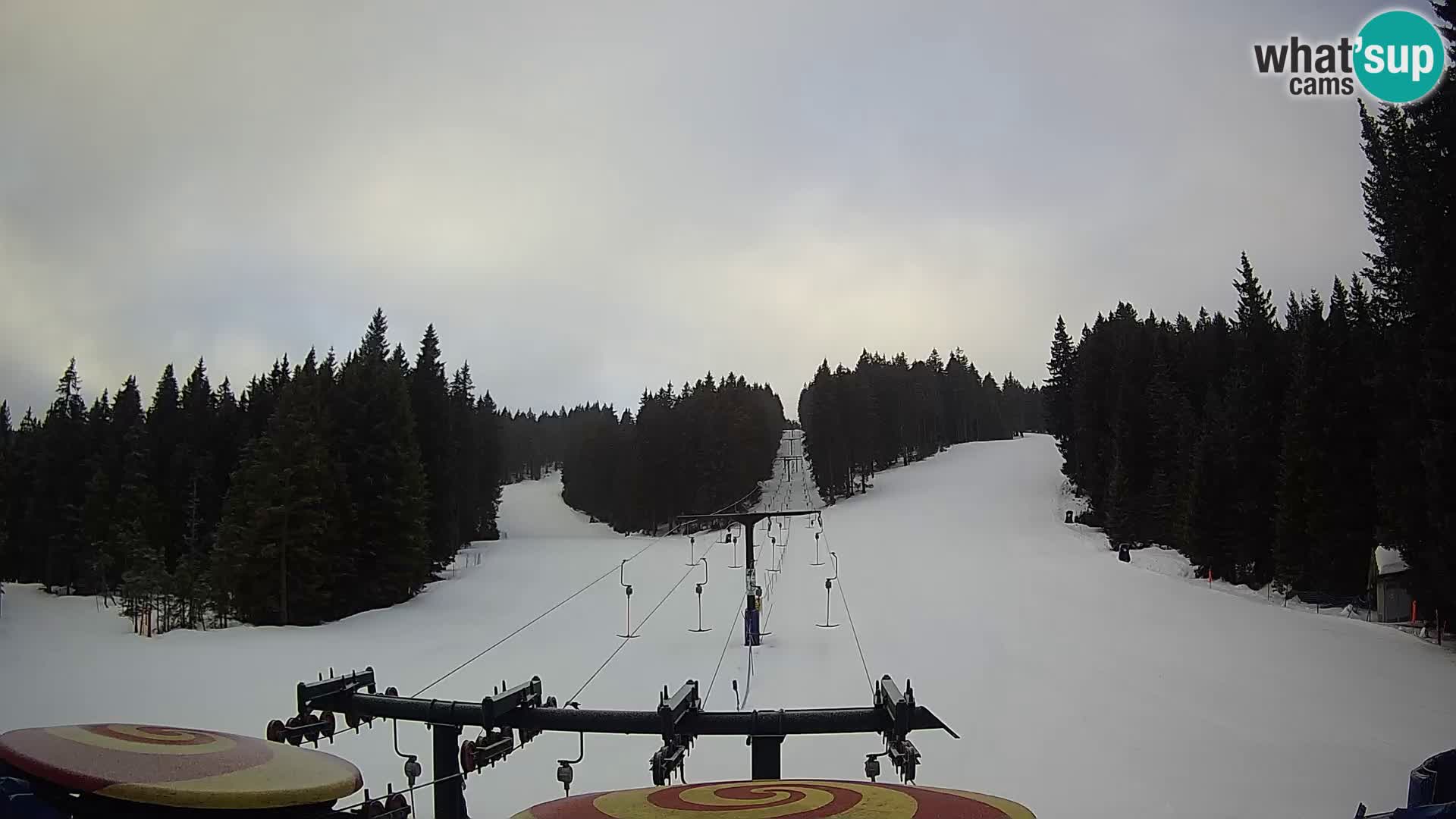 Comprensorio sciistico Rogla Webcam live Ostruščica piste 1 e 2