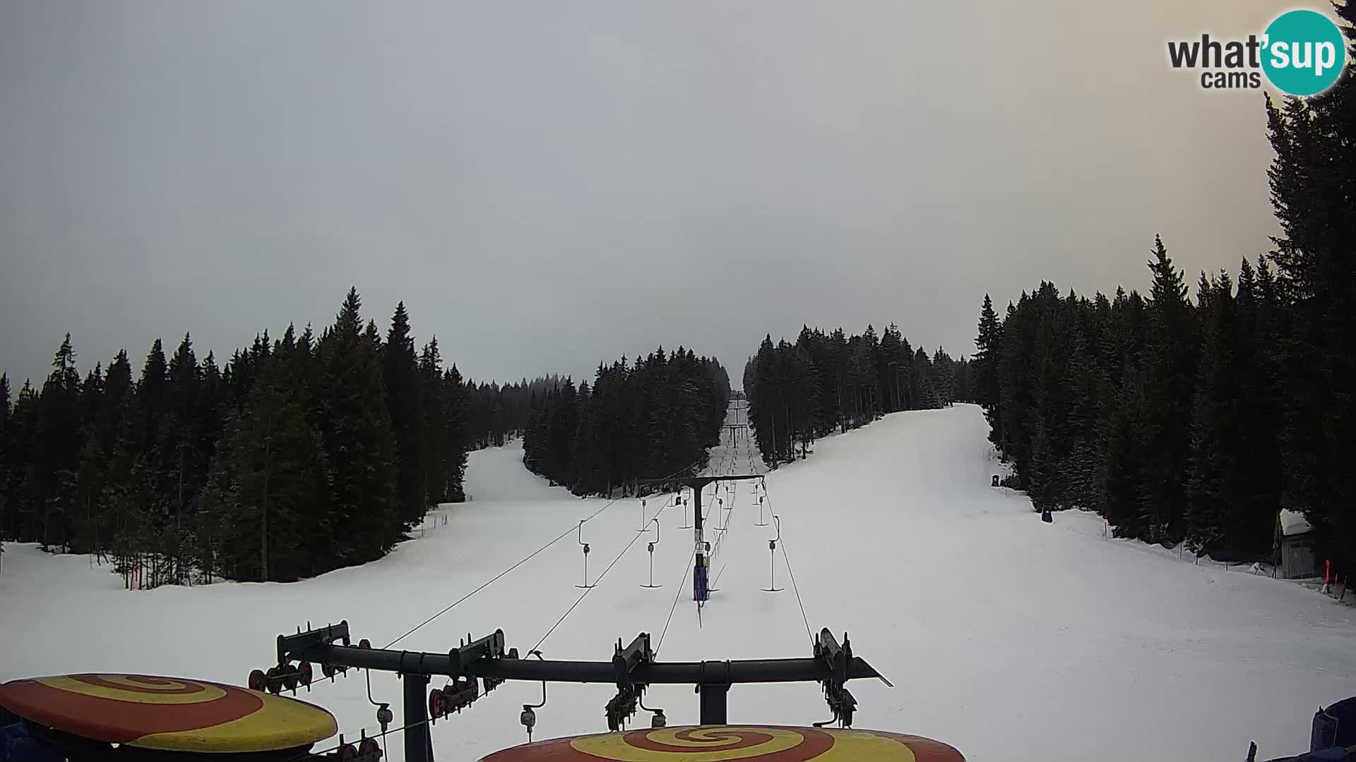 Webcam Live Rogla ski resort – Ostruščica