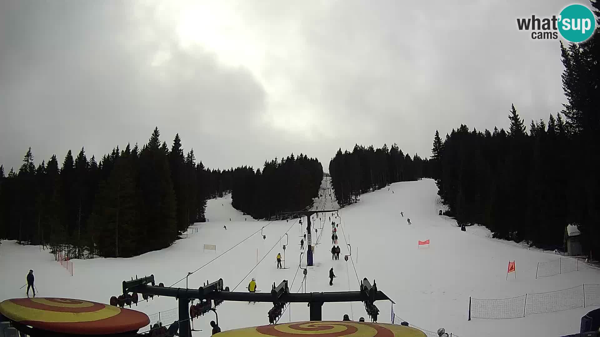 Webcam Live Rogla ski resort – Ostruščica