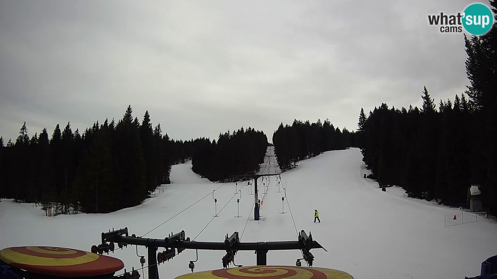 Skigebiet Rogla Webcam Ostruščica Piste 1 und 2