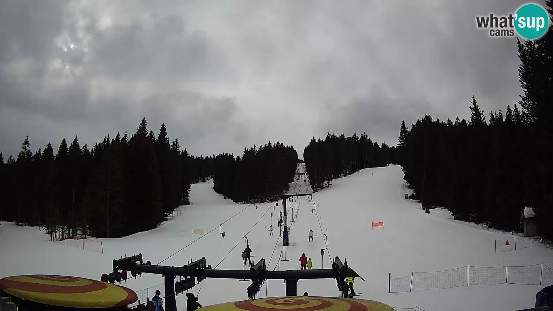 Station de ski Rogla Webcam Ostruščica pistes 1 et 2
