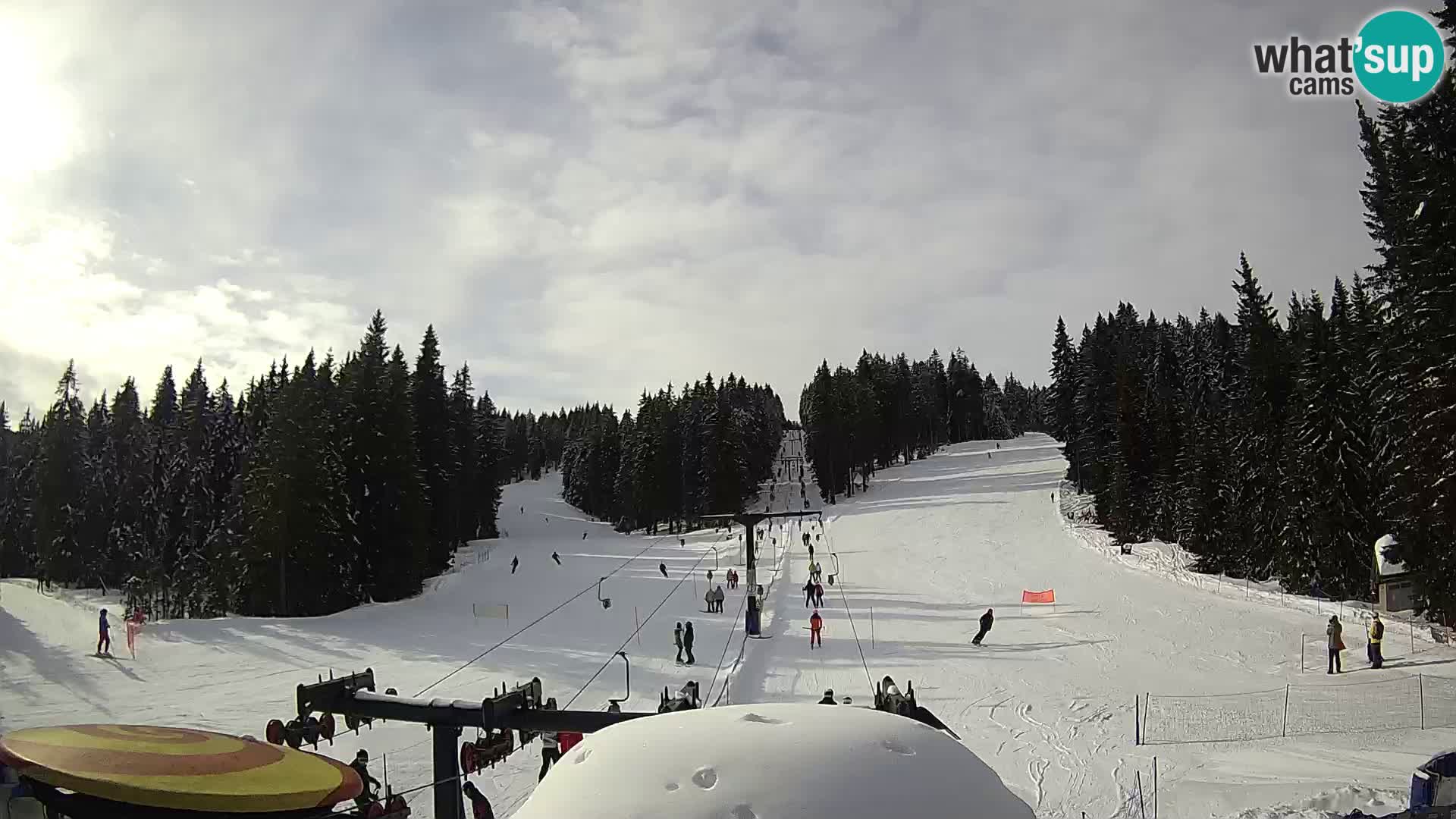 Comprensorio sciistico Rogla Webcam live Ostruščica piste 1 e 2