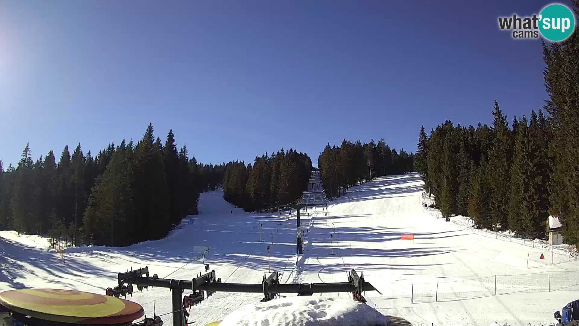 Comprensorio sciistico Rogla Webcam live Ostruščica piste 1 e 2