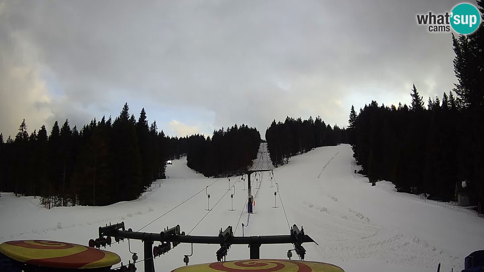 Station de ski Rogla Webcam Ostruščica pistes 1 et 2