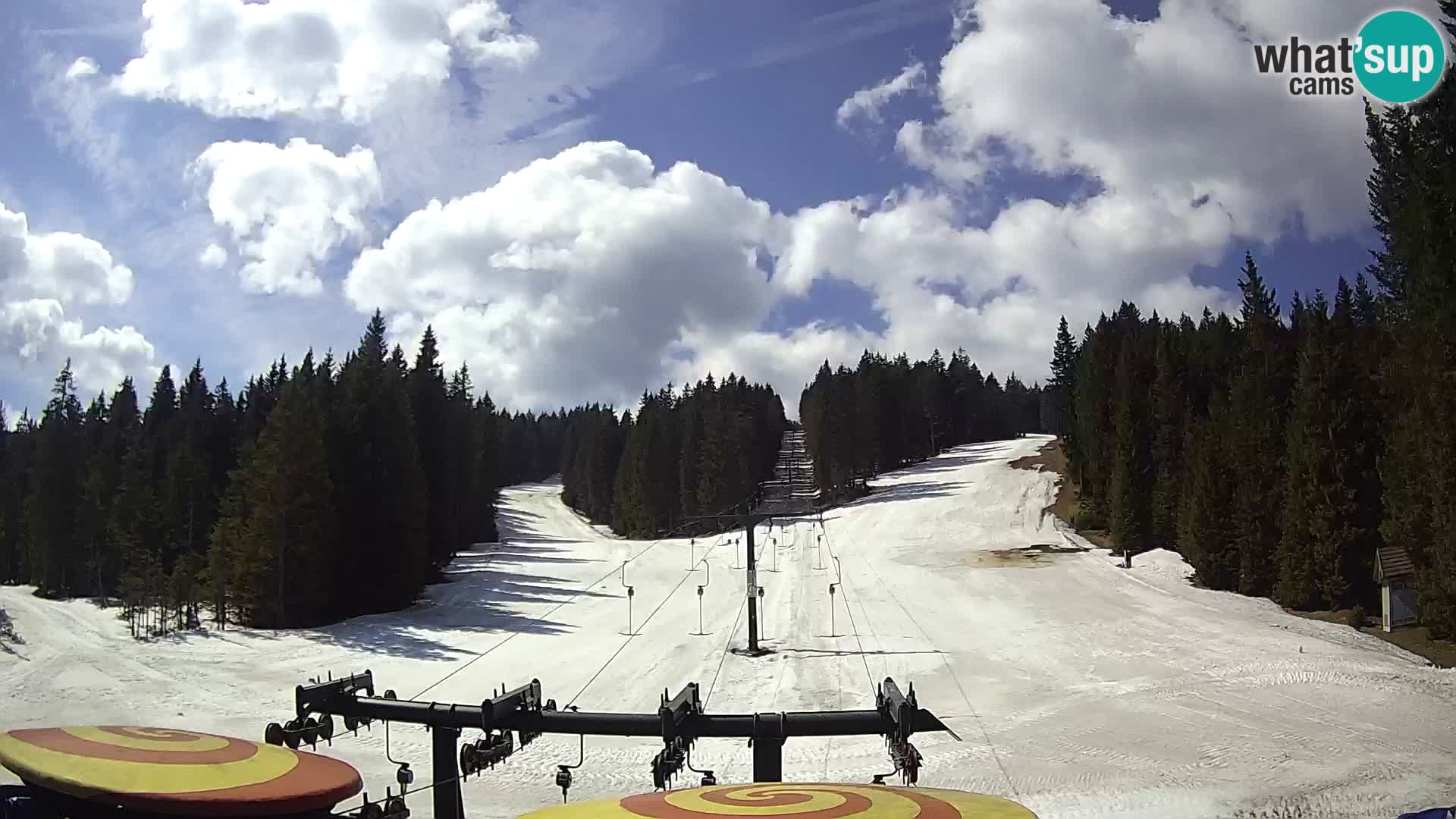 Smučišče Rogla Spletna kamera Ostruščica proga 1 in 2