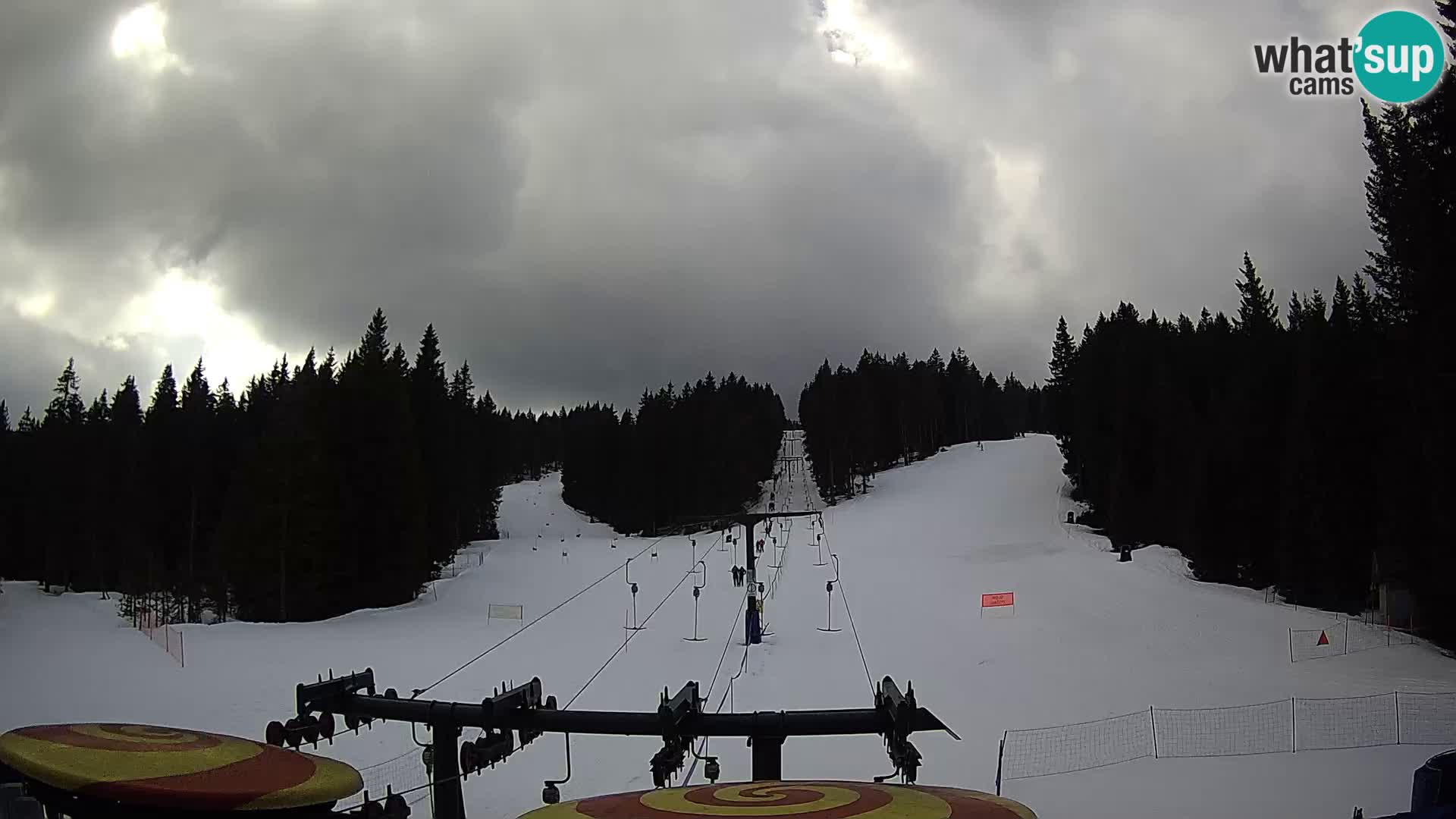 Comprensorio sciistico Rogla Webcam live Ostruščica piste 1 e 2