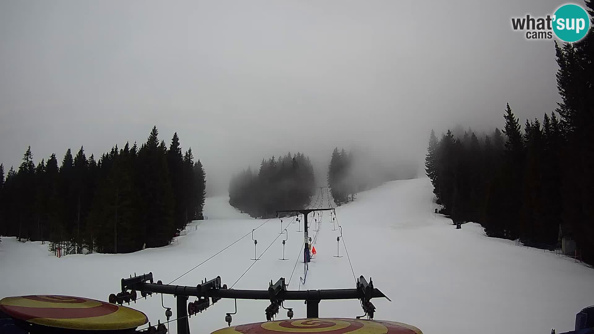 Webcam Live Rogla ski resort – Ostruščica