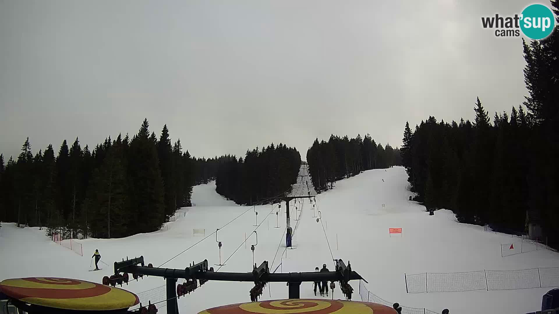 Webcam Live Rogla ski resort – Ostruščica