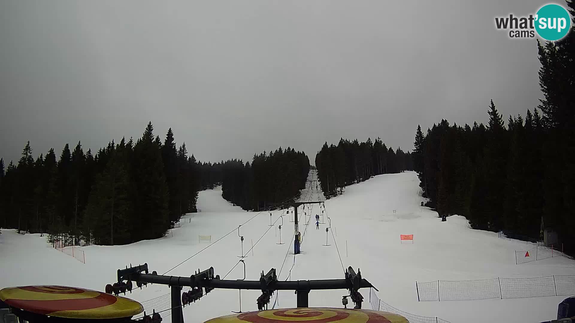 Station de ski Rogla Webcam Ostruščica pistes 1 et 2