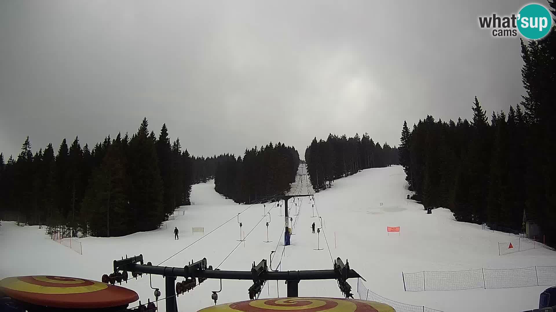 Station de ski Rogla Webcam Ostruščica pistes 1 et 2