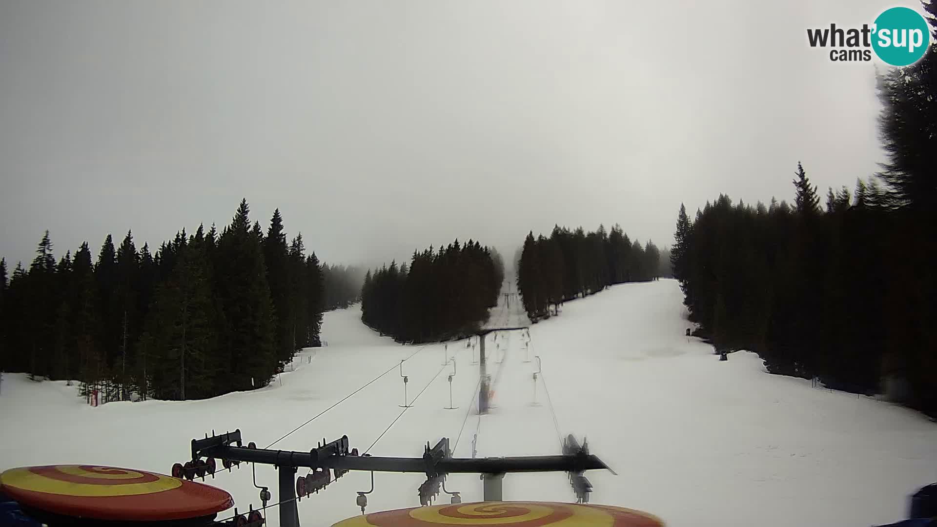 Station de ski Rogla Webcam Ostruščica pistes 1 et 2