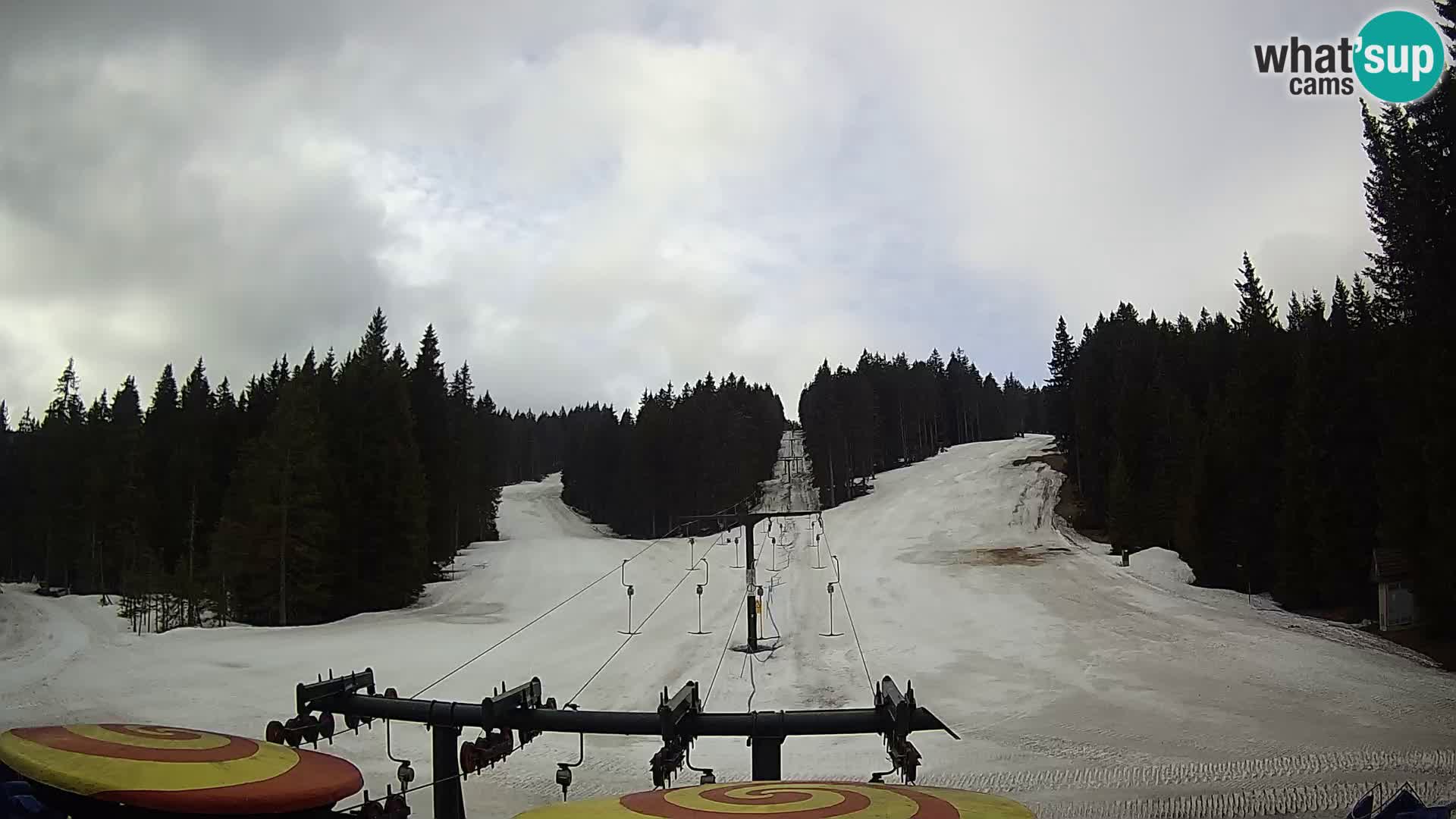 Smučišče Rogla Spletna kamera Ostruščica proga 1 in 2