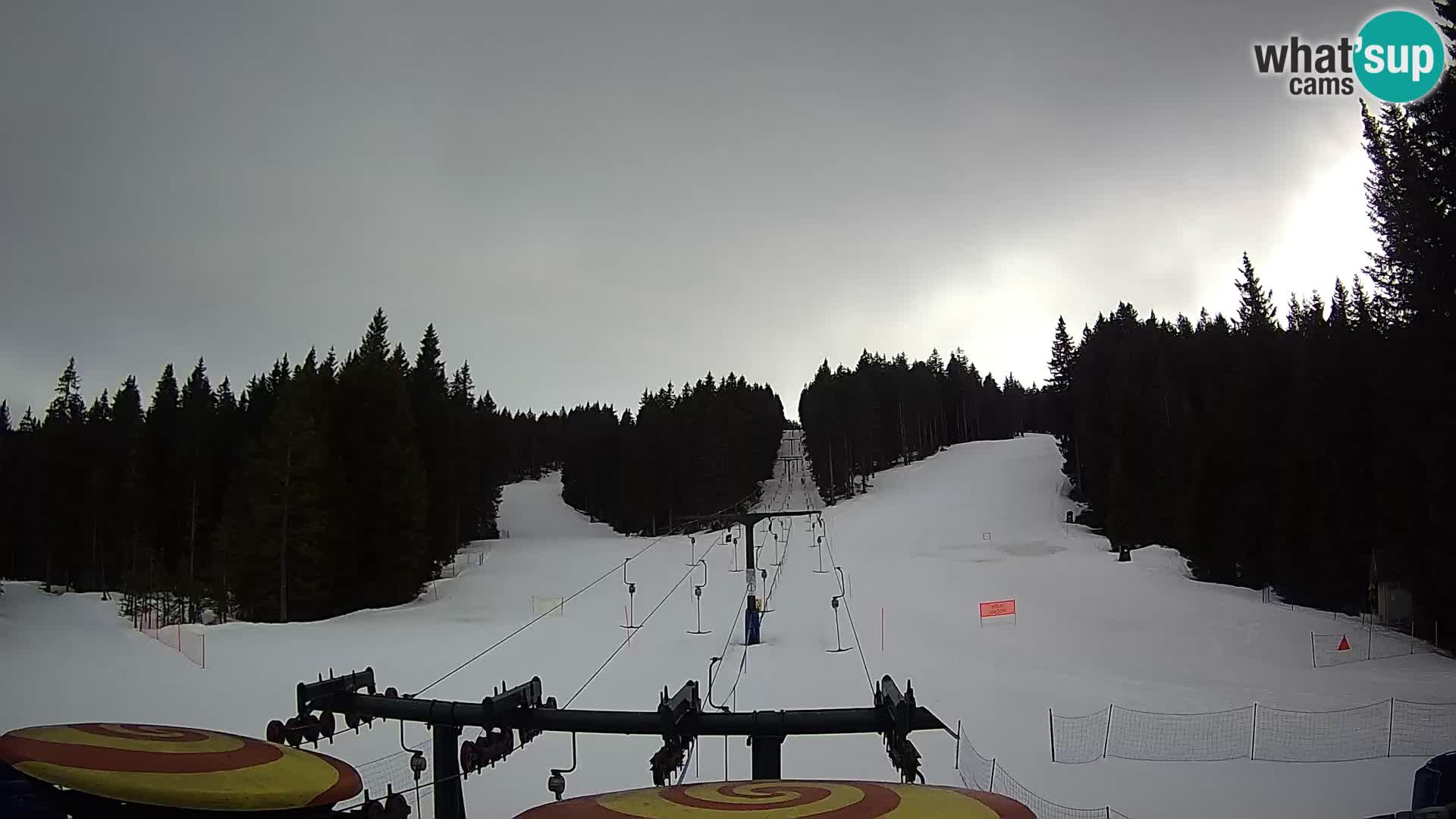 Webcam Live Rogla ski resort – Ostruščica
