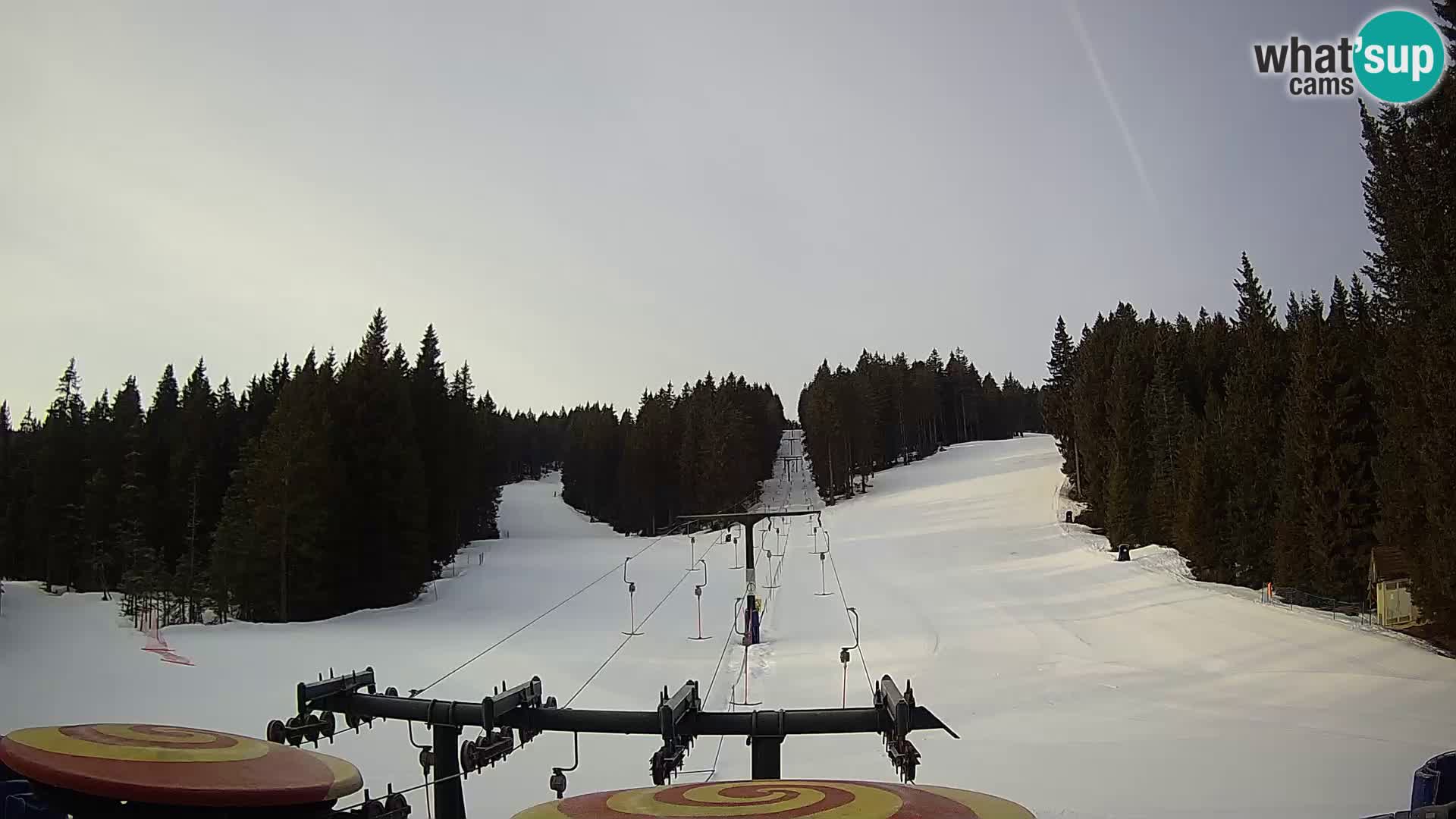 Webcam Live Rogla ski resort – Ostruščica