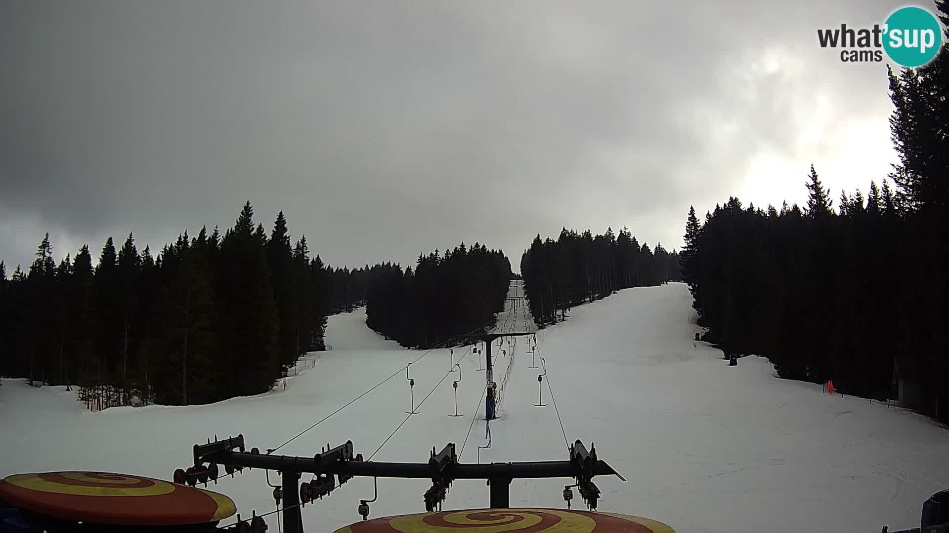 Webcam Live Rogla ski resort – Ostruščica