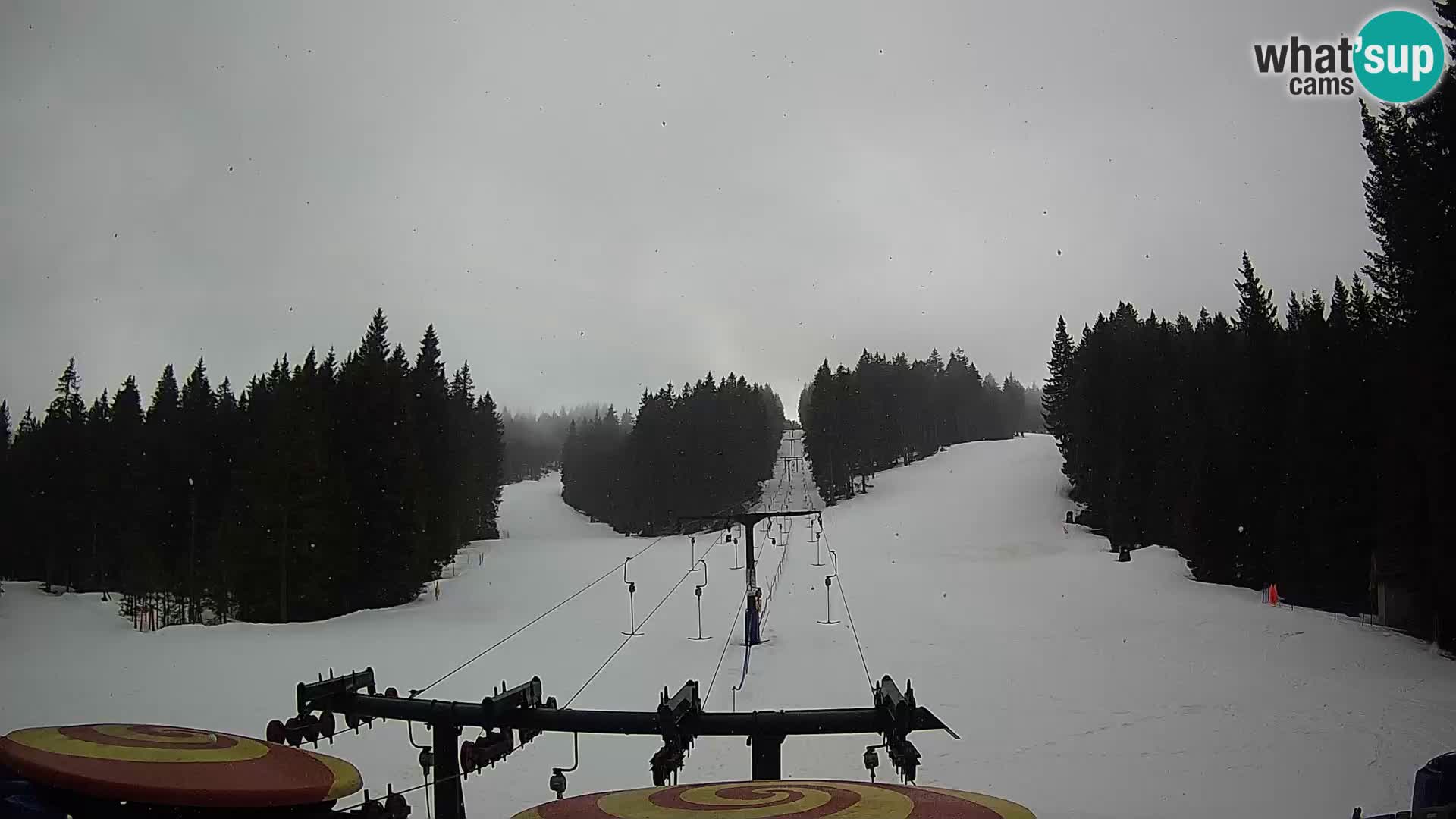 Webcam Live Rogla ski resort – Ostruščica