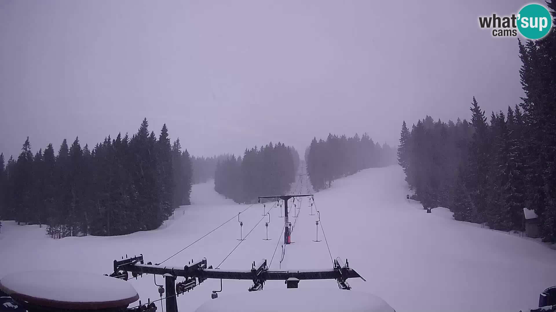 Webcam Live Rogla ski resort – Ostruščica