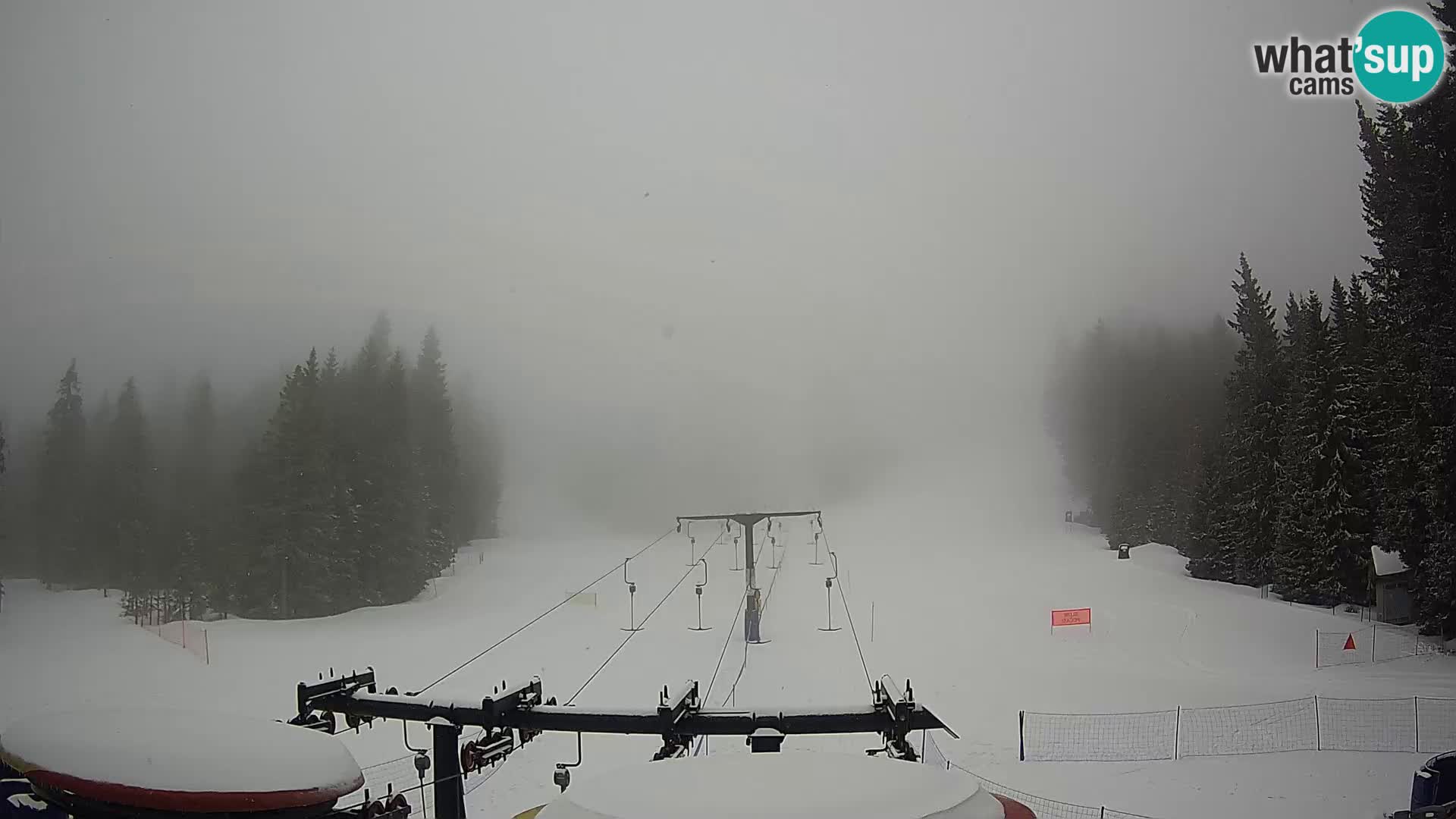 Station de ski Rogla Webcam Ostruščica pistes 1 et 2