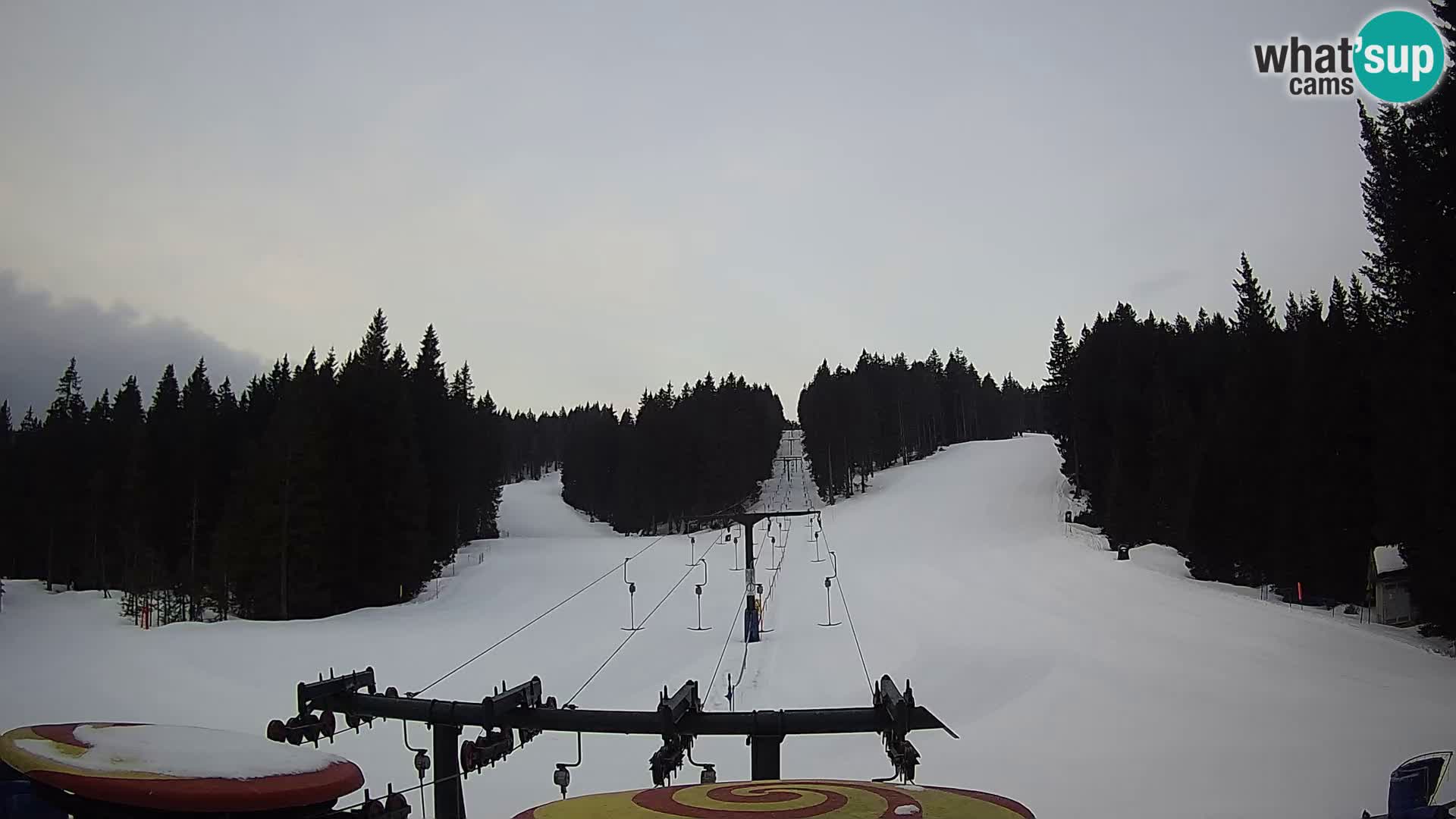 Webcam Live Rogla ski resort – Ostruščica