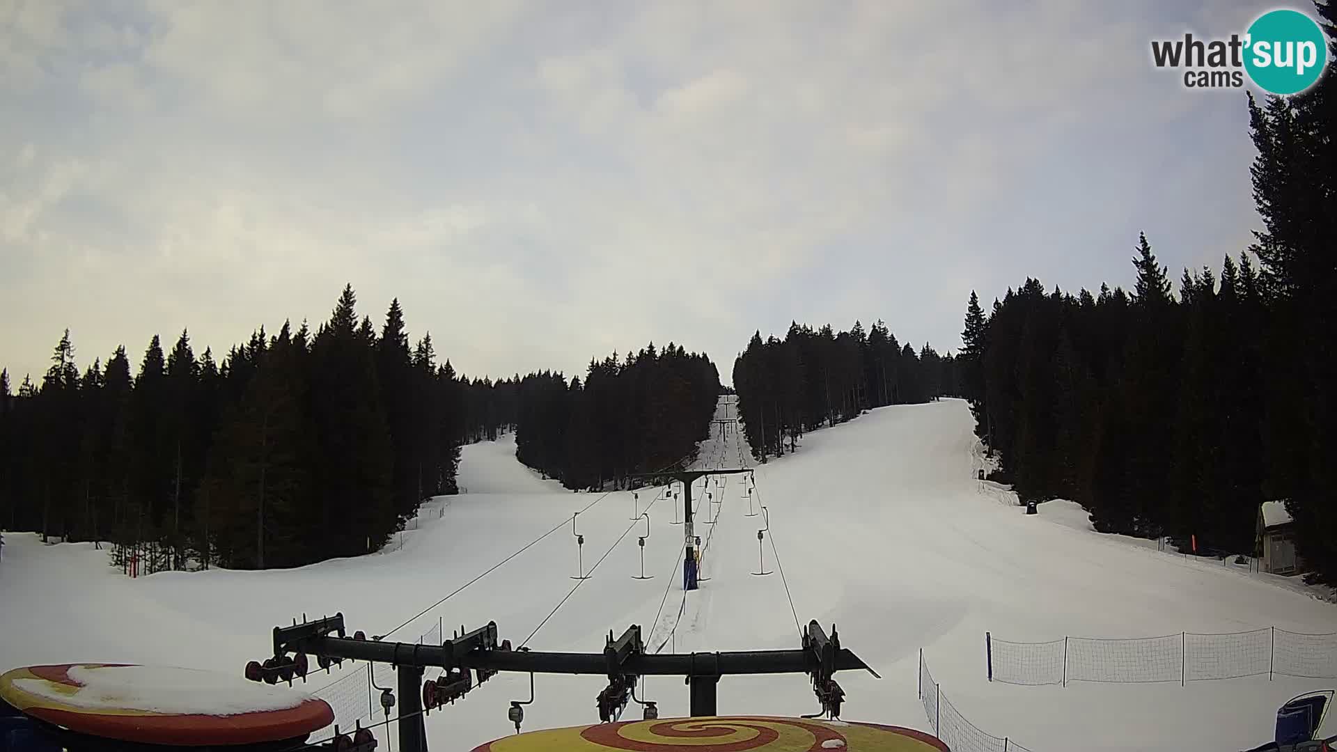 Skigebiet Rogla Webcam Ostruščica Piste 1 und 2