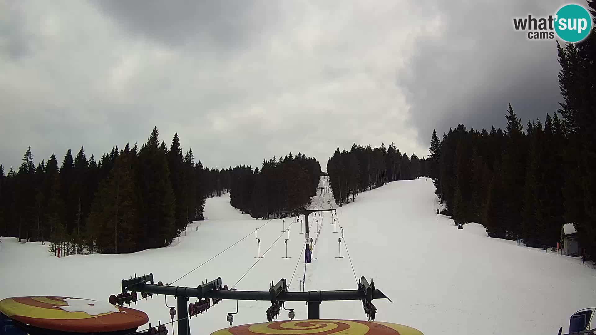 Comprensorio sciistico Rogla Webcam live Ostruščica piste 1 e 2