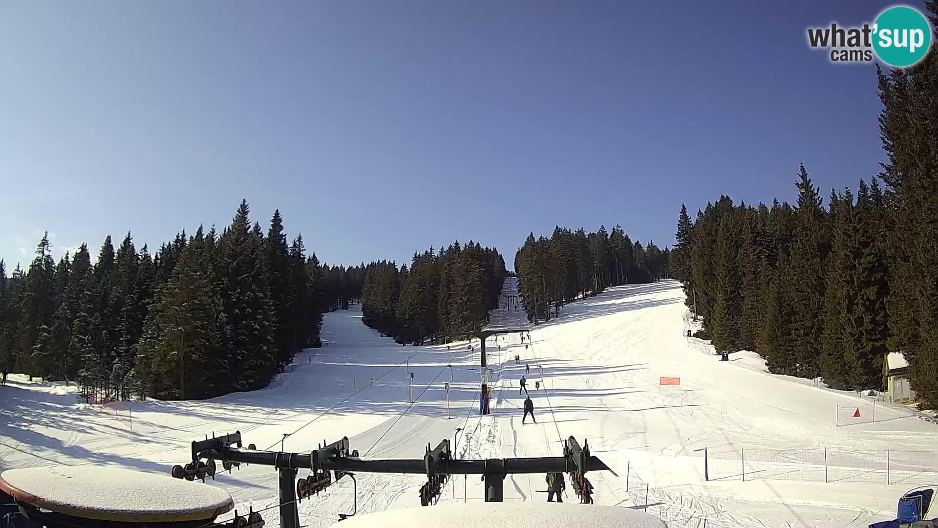 Comprensorio sciistico Rogla Webcam live Ostruščica piste 1 e 2