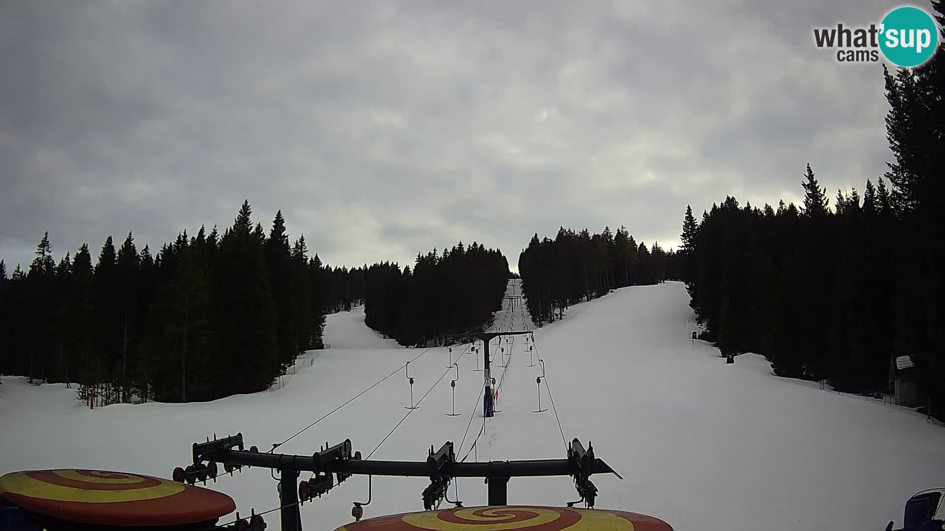 Webcam Live Rogla ski resort – Ostruščica