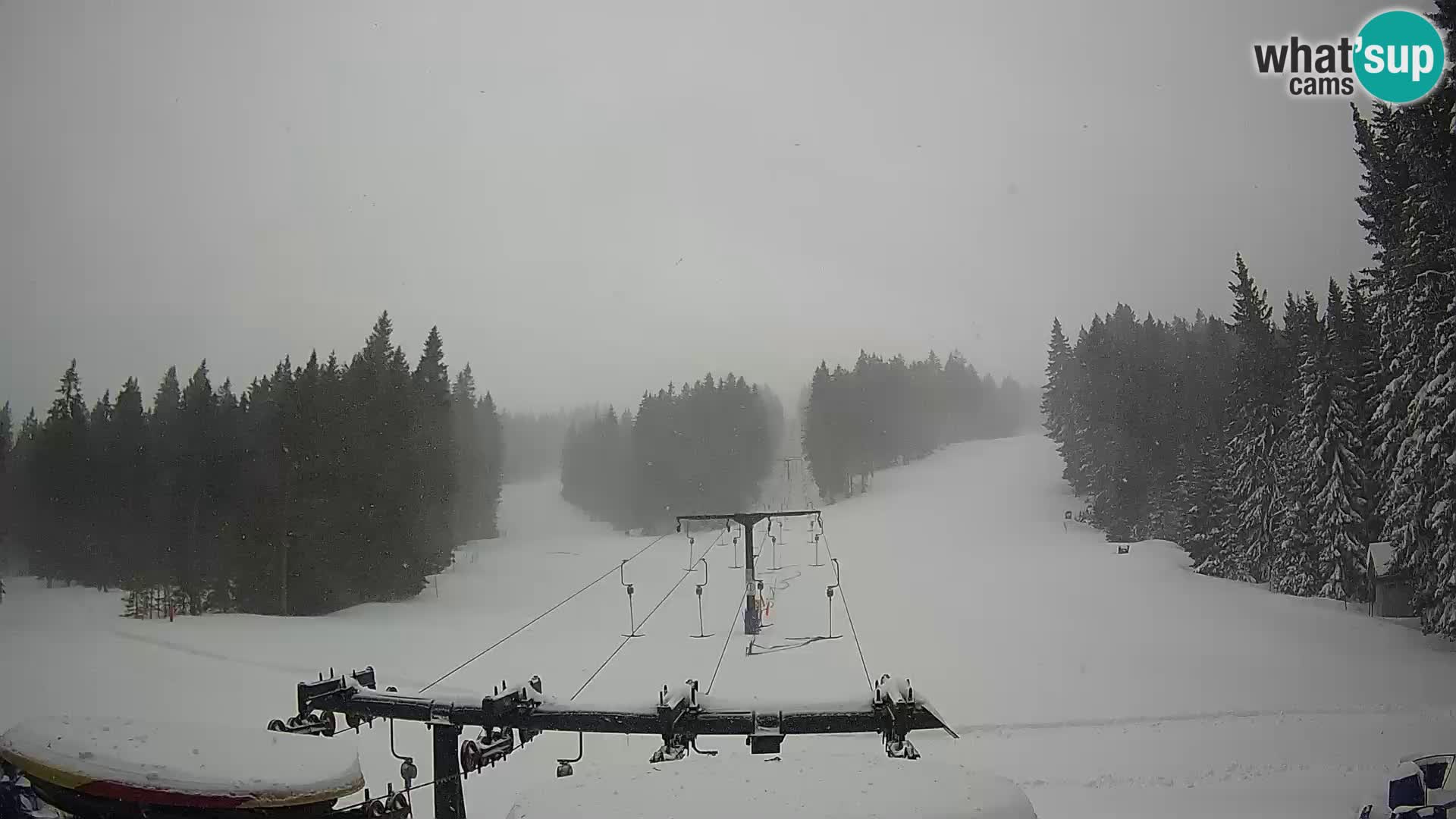 Station de ski Rogla Webcam Ostruščica pistes 1 et 2