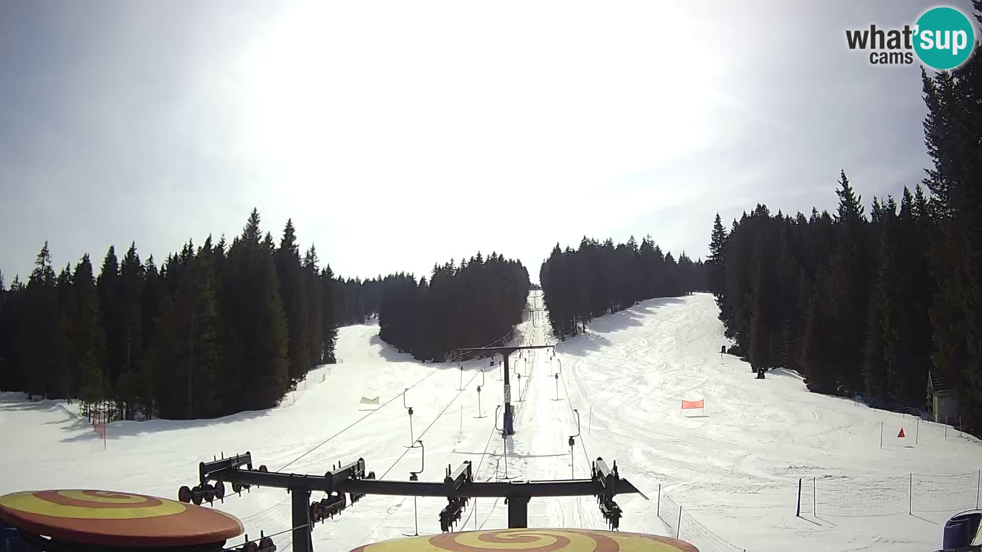 Webcam Live Rogla ski resort – Ostruščica