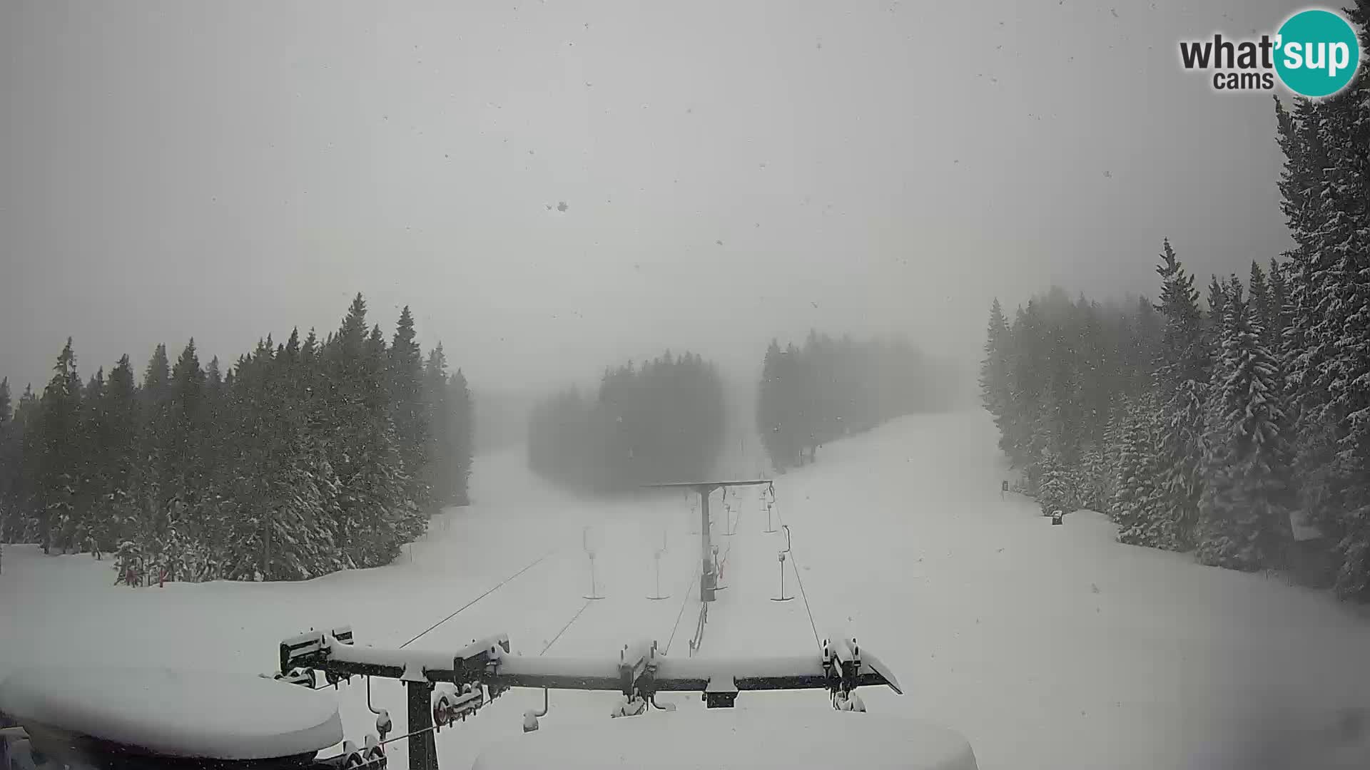 Skigebiet Rogla Webcam Ostruščica Piste 1 und 2