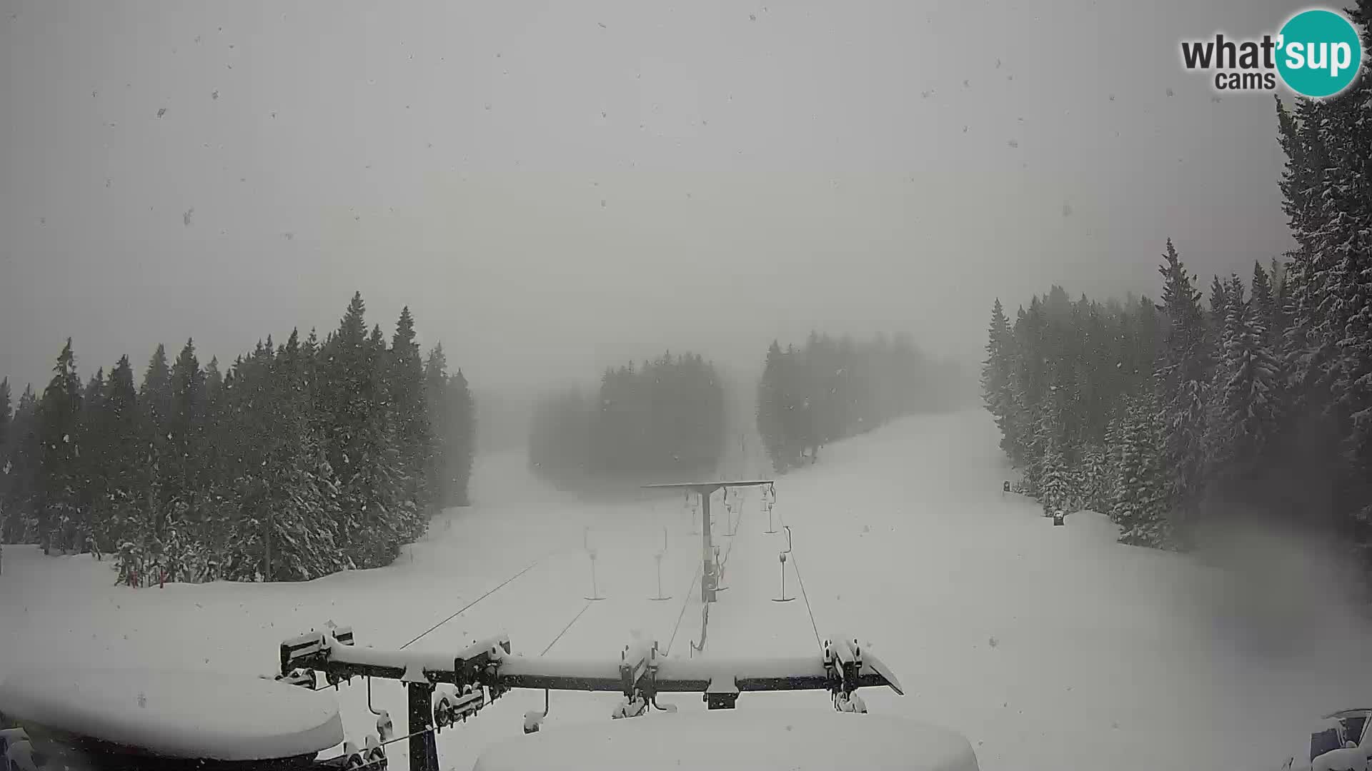 Estación de esquí Rogla Webcam Ostruščica pistas 1 y 2