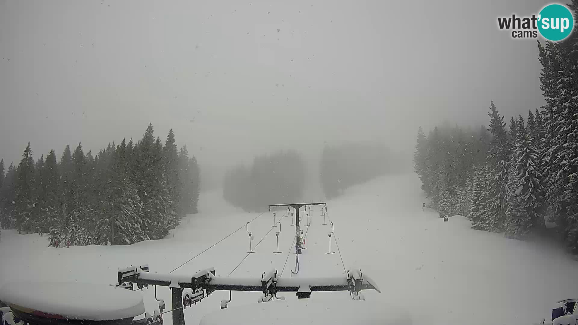 Comprensorio sciistico Rogla Webcam live Ostruščica piste 1 e 2