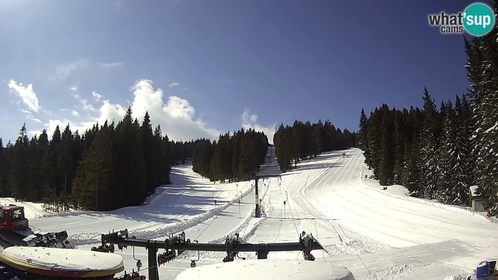 Webcam Live Rogla ski resort – Ostruščica