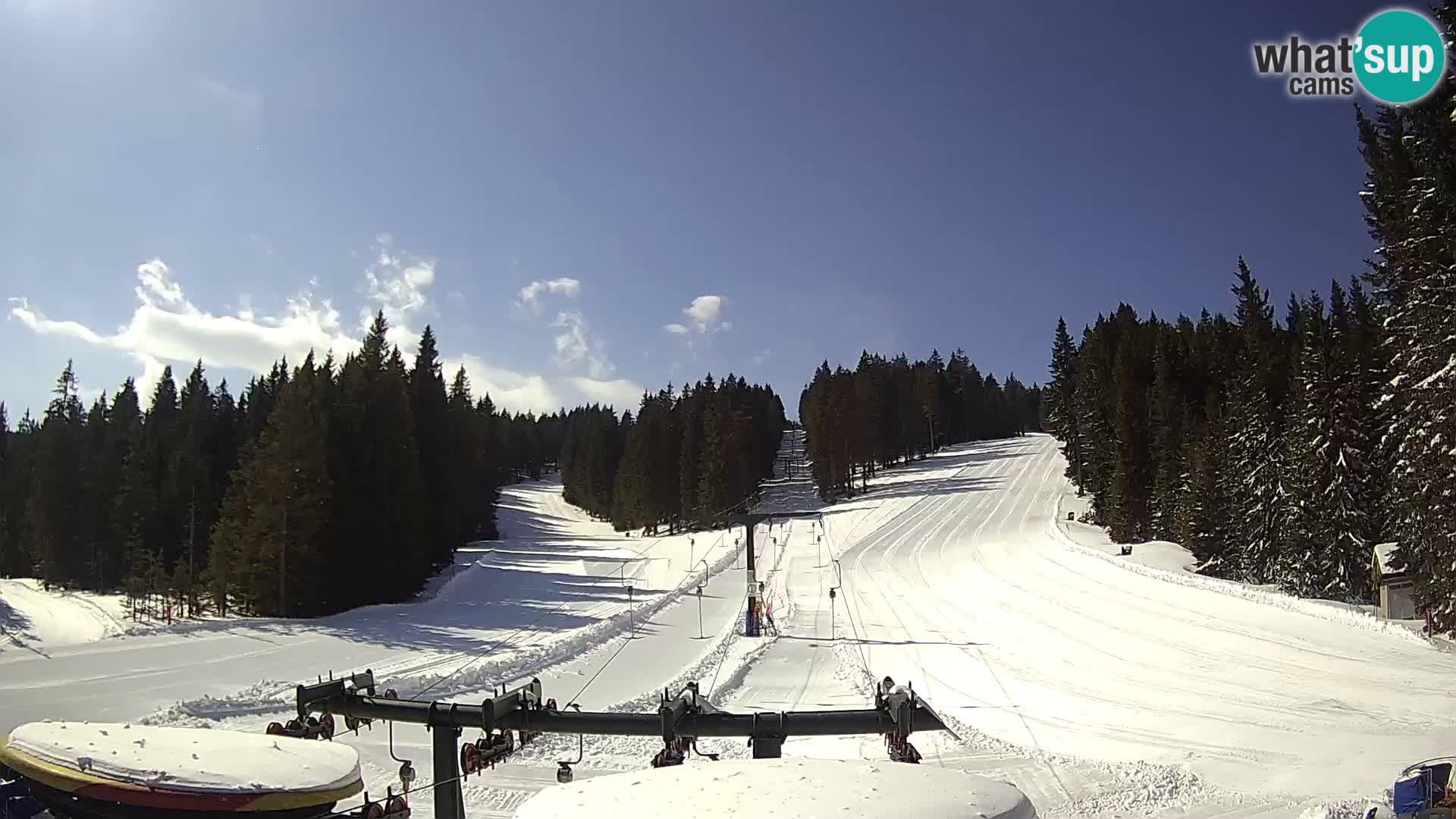 Smučišče Rogla Spletna kamera Ostruščica proga 1 in 2