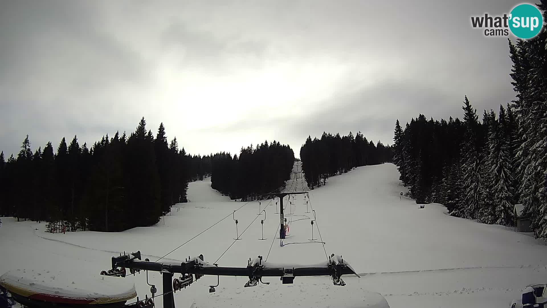 Estación de esquí Rogla Webcam Ostruščica pistas 1 y 2