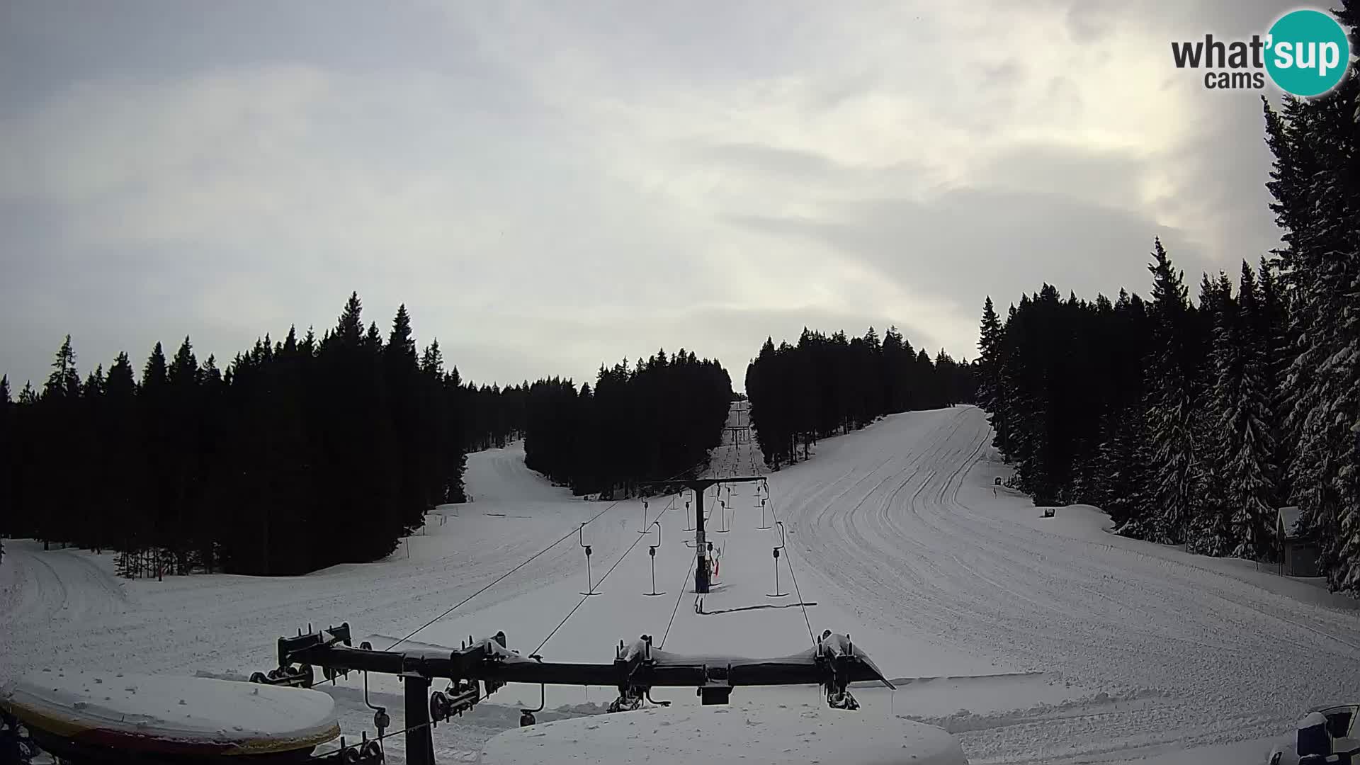Estación de esquí Rogla Webcam Ostruščica pistas 1 y 2