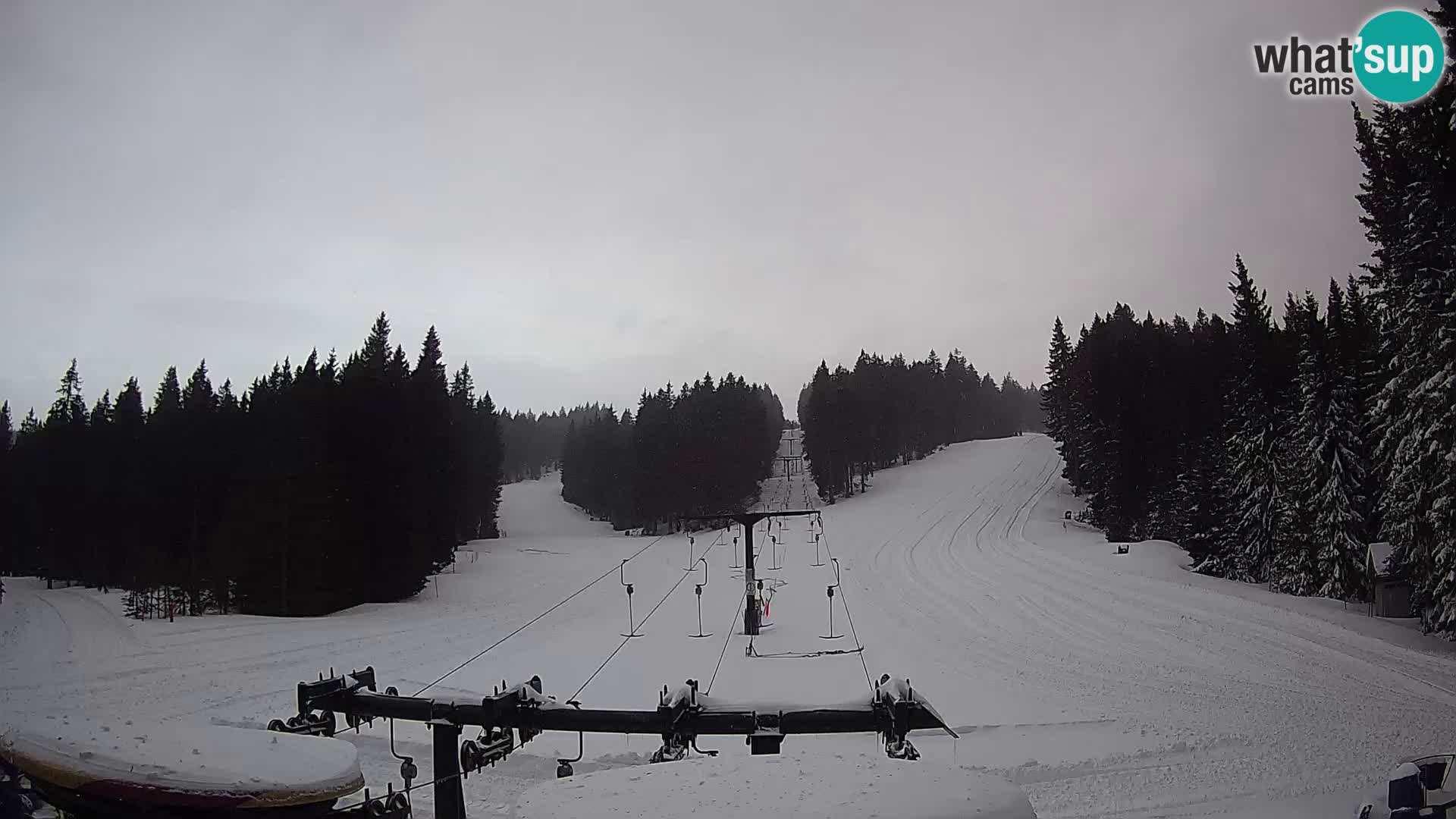 Estación de esquí Rogla Webcam Ostruščica pistas 1 y 2