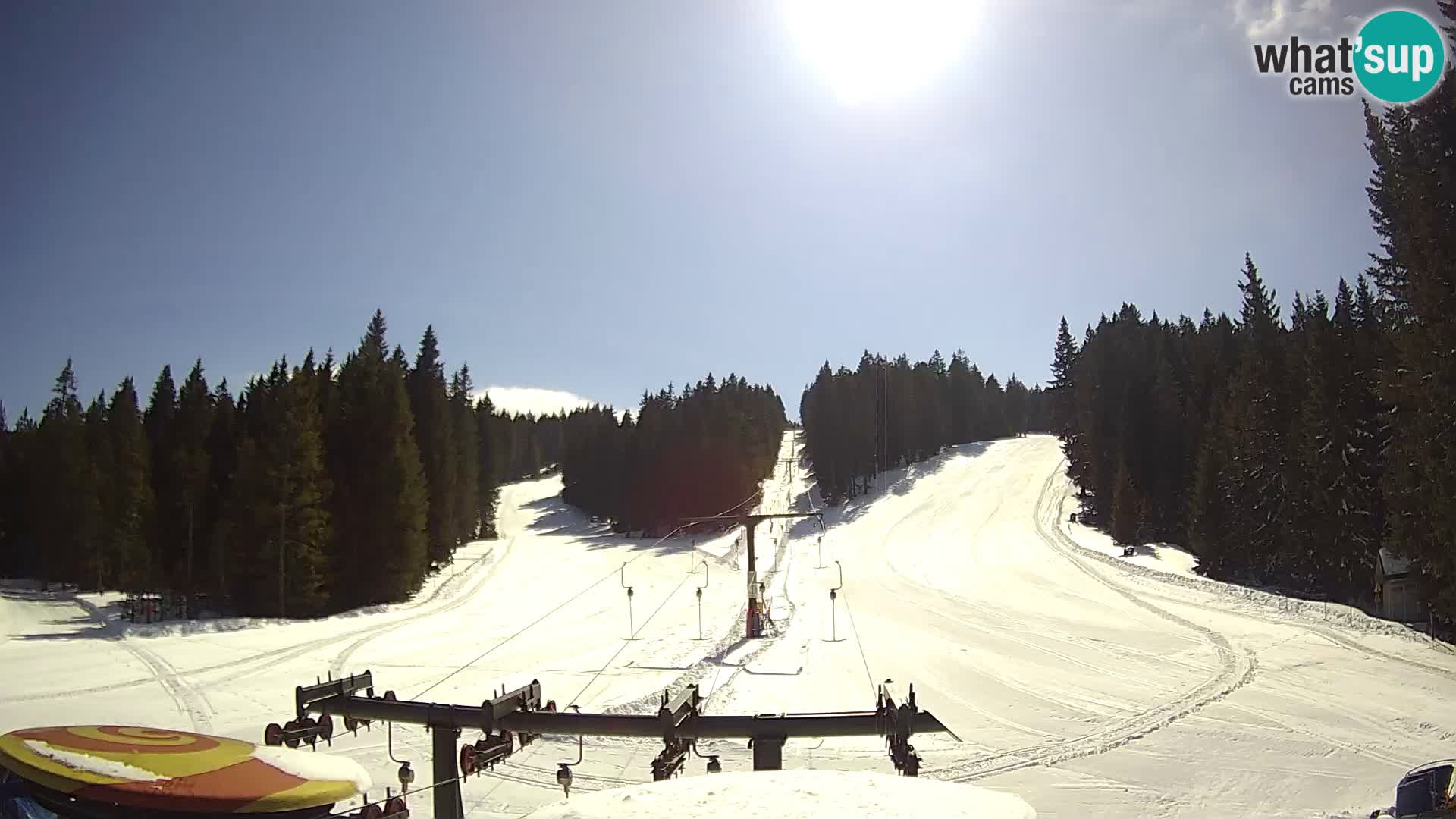 Comprensorio sciistico Rogla Webcam live Ostruščica piste 1 e 2