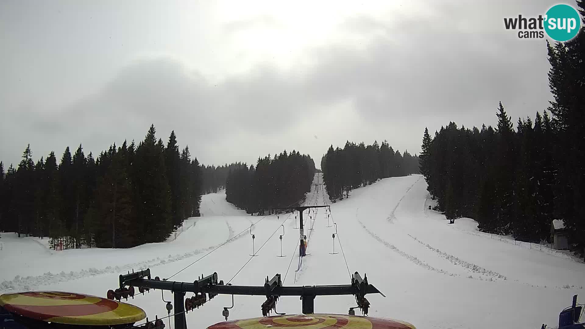 Comprensorio sciistico Rogla Webcam live Ostruščica piste 1 e 2