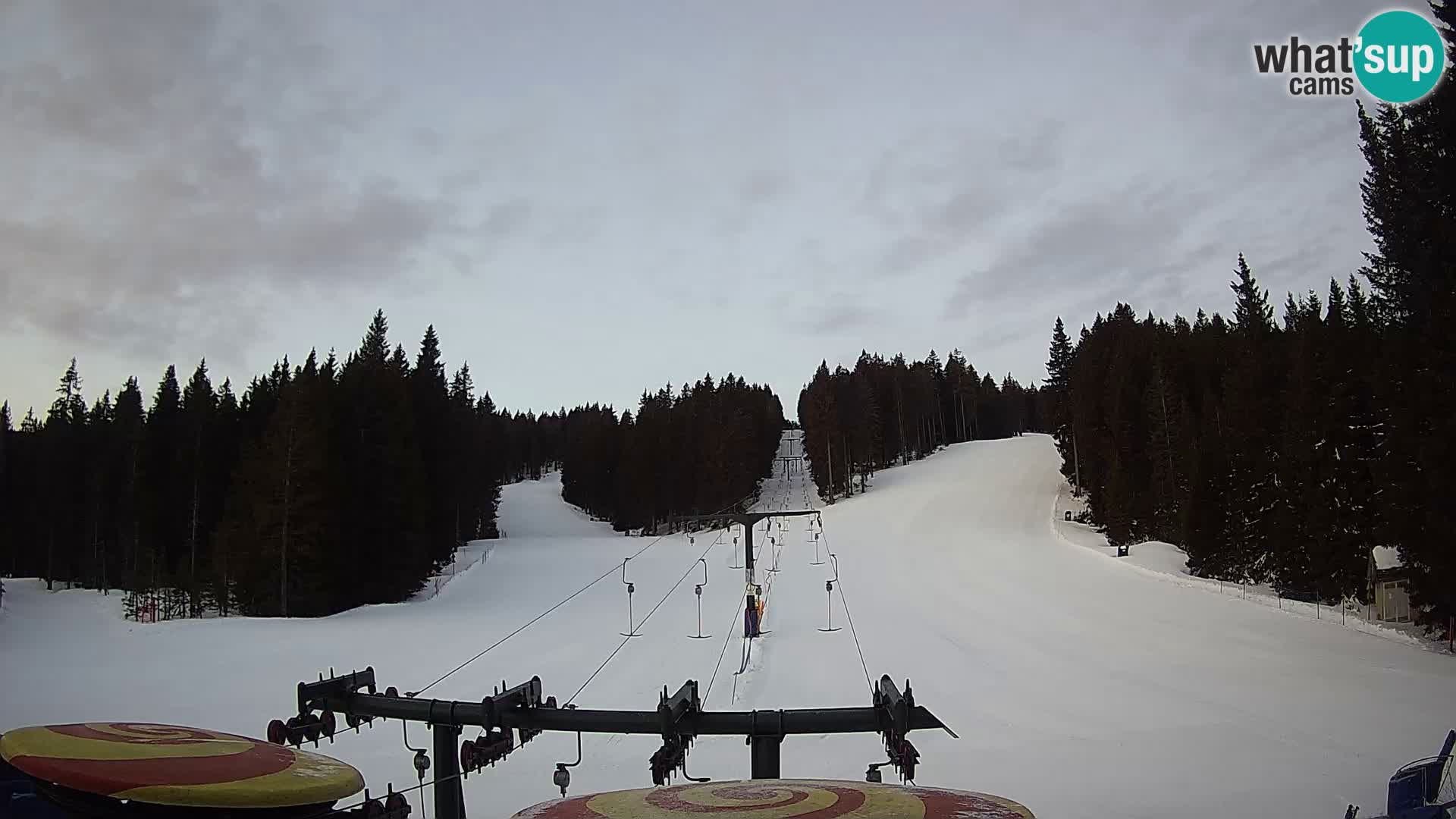Station de ski Rogla Webcam Ostruščica pistes 1 et 2