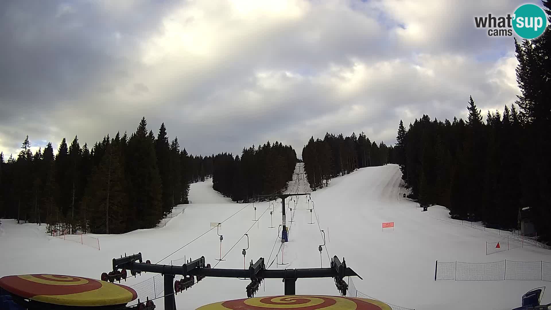 Estación de esquí Rogla Webcam Ostruščica pistas 1 y 2