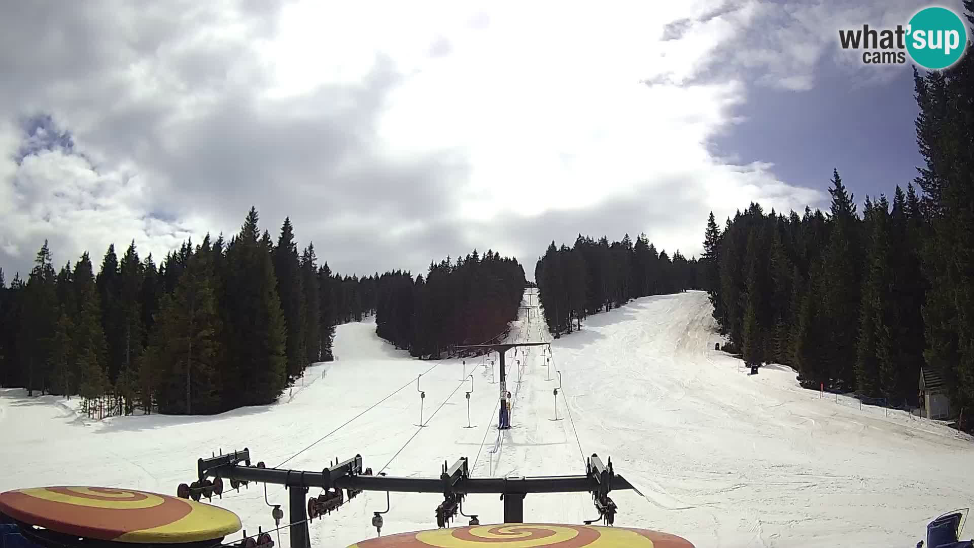 Comprensorio sciistico Rogla Webcam live Ostruščica piste 1 e 2