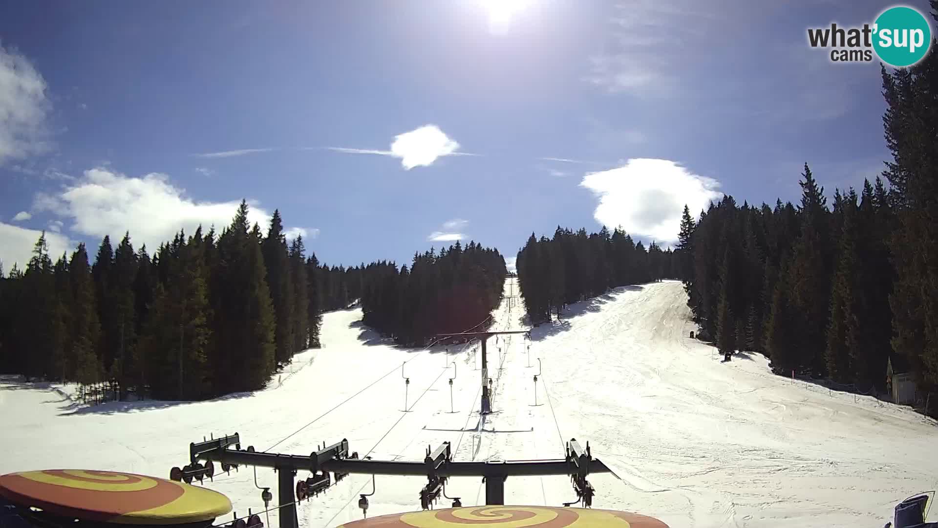 Webcam Live Rogla ski resort – Ostruščica
