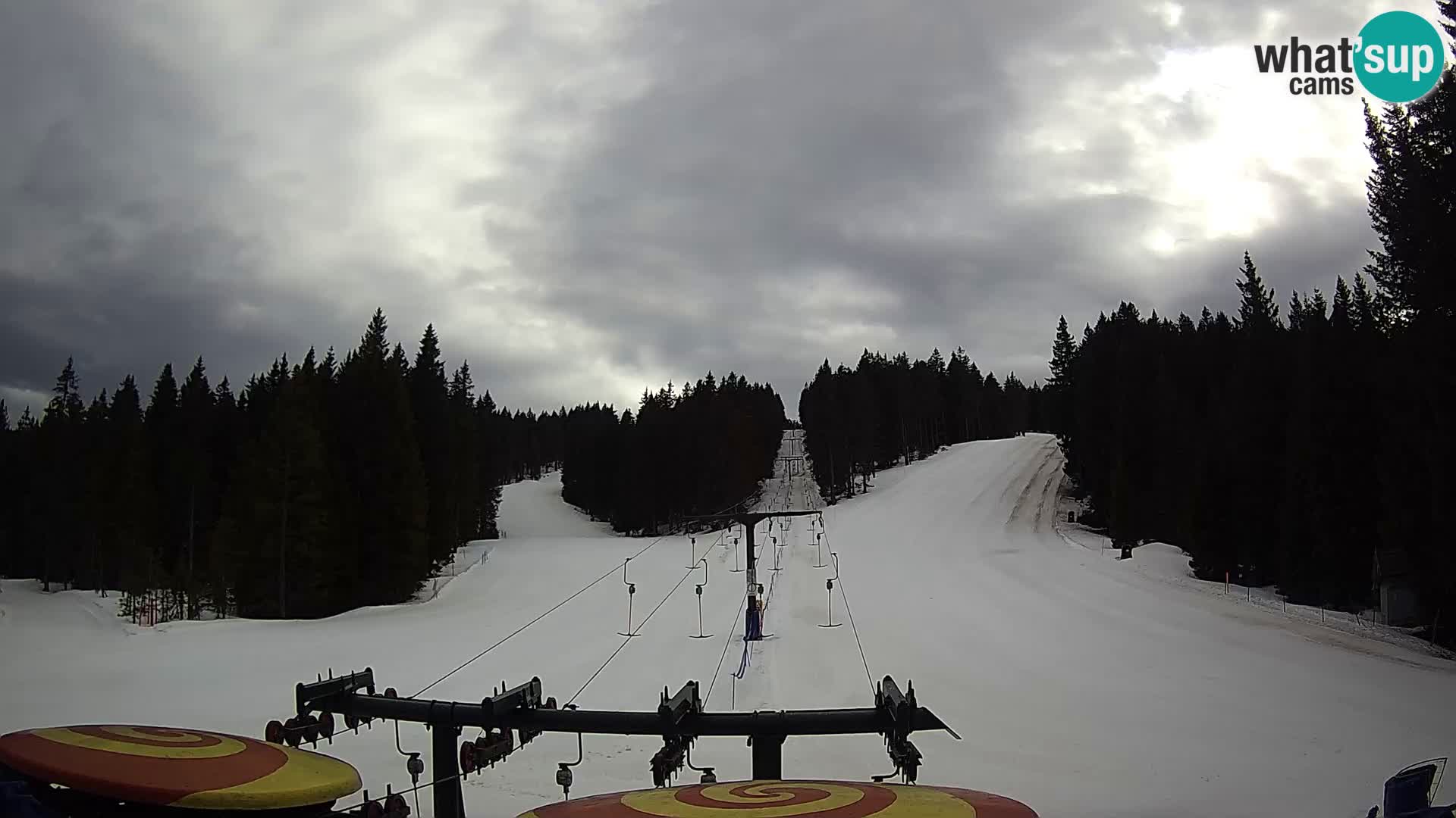 Skigebiet Rogla Webcam Ostruščica Piste 1 und 2