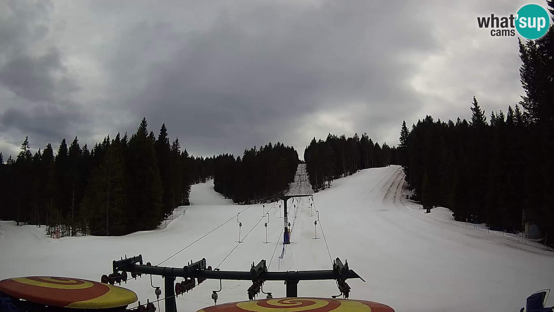 Skigebiet Rogla Webcam Ostruščica Piste 1 und 2