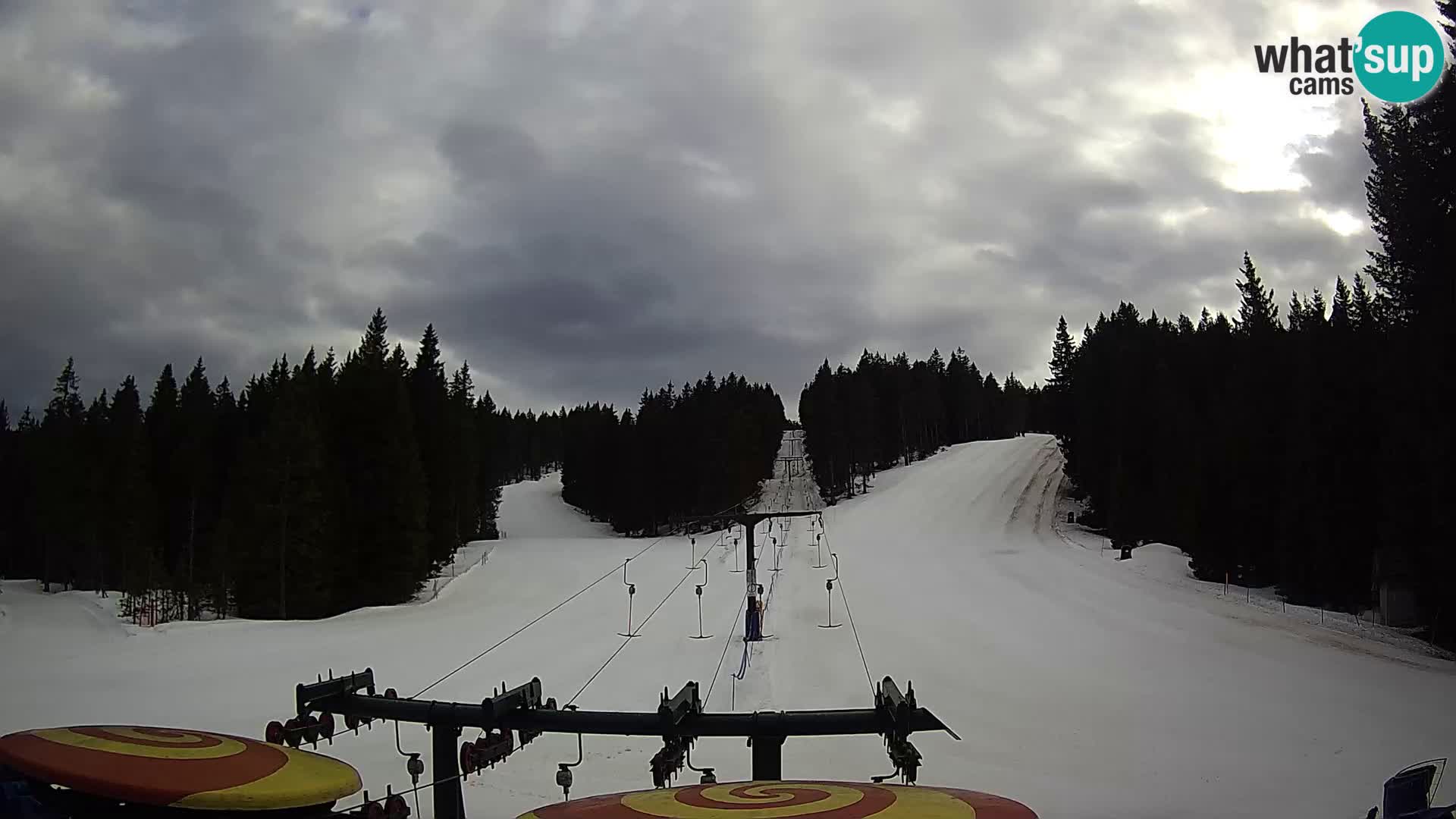 Comprensorio sciistico Rogla Webcam live Ostruščica piste 1 e 2